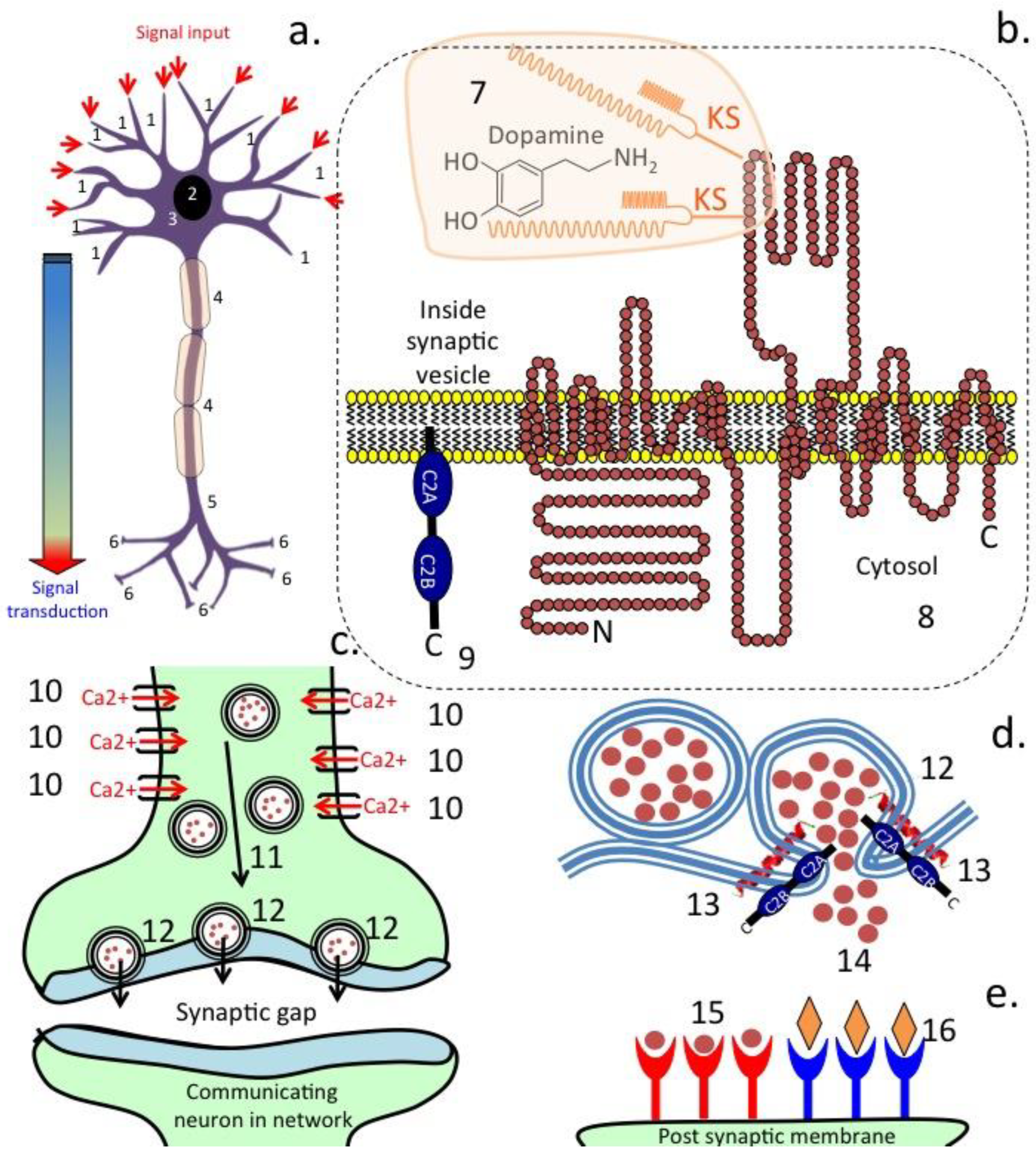 Antioxidants 12 00663 g002