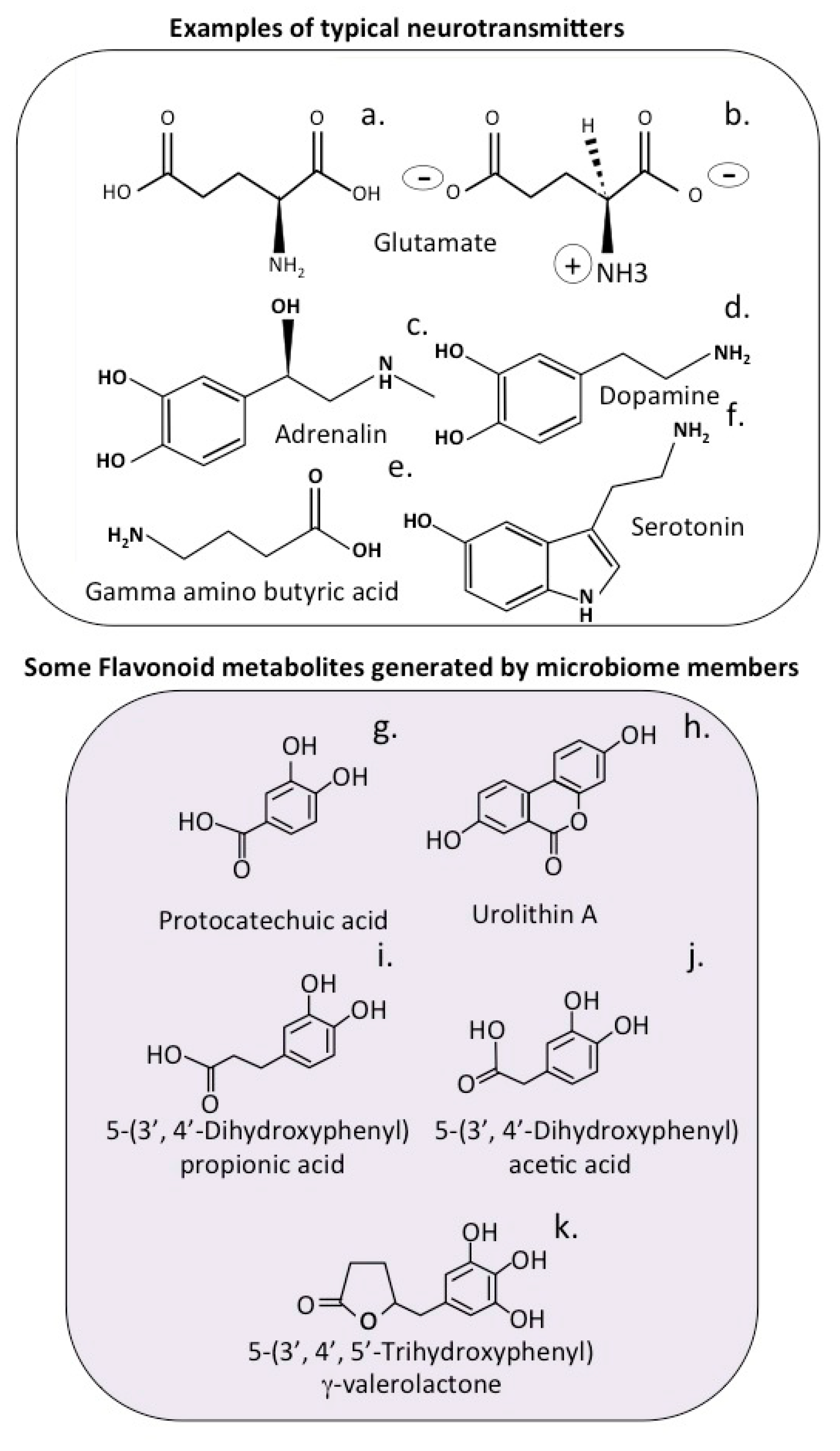 Antioxidants 12 00663 g003