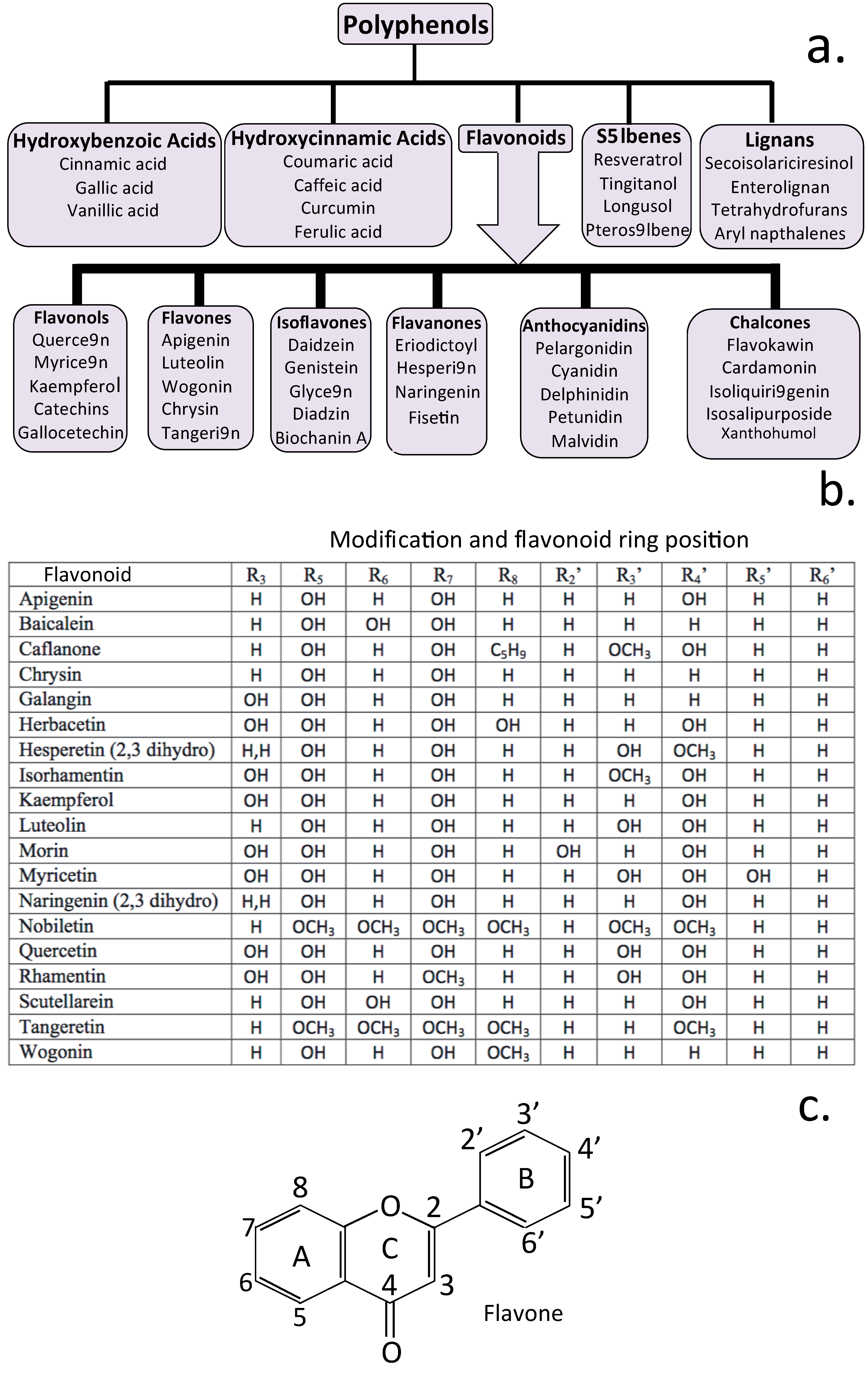 Antioxidants 12 00663 g004