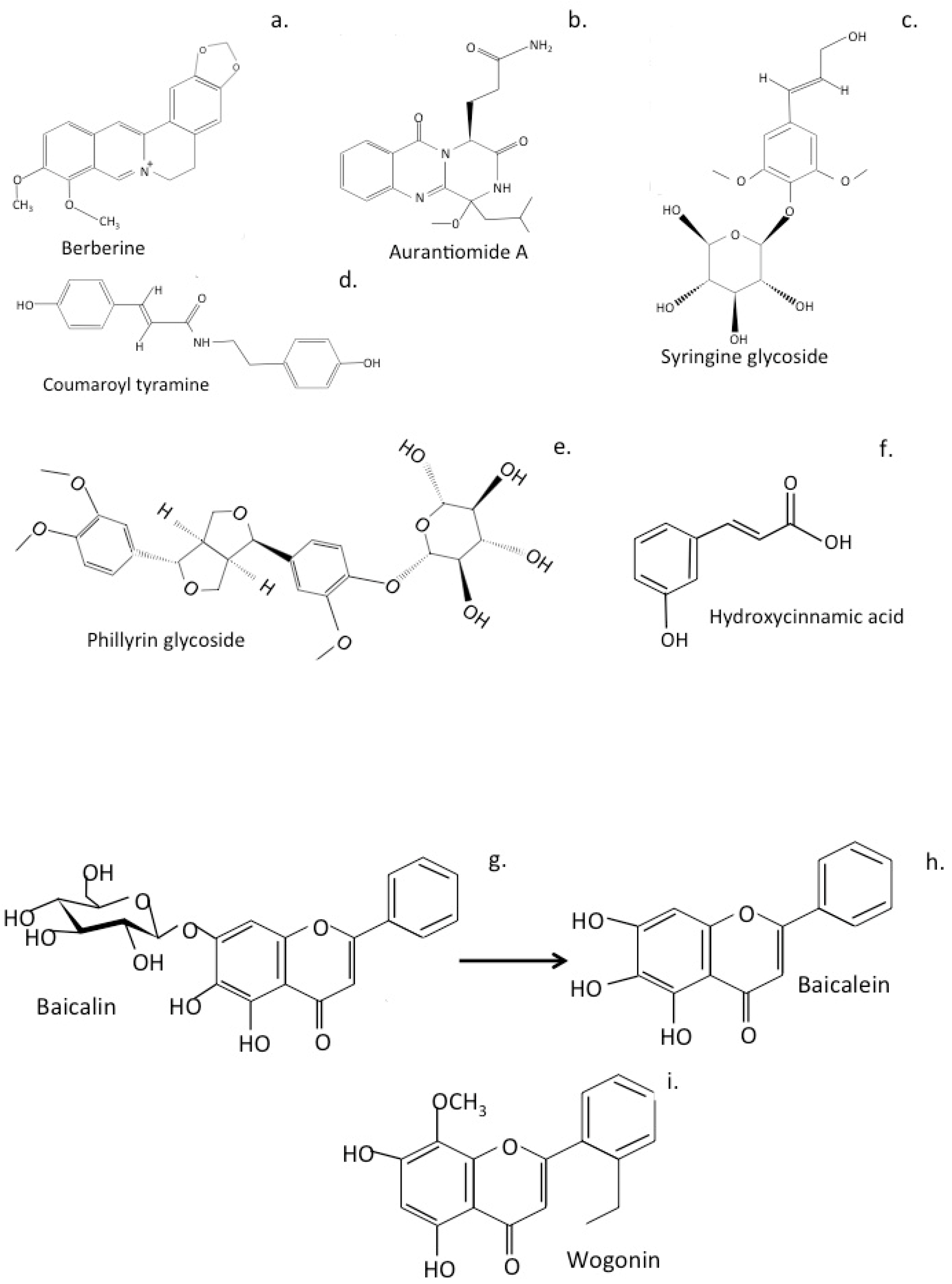 Antioxidants 12 00663 g006