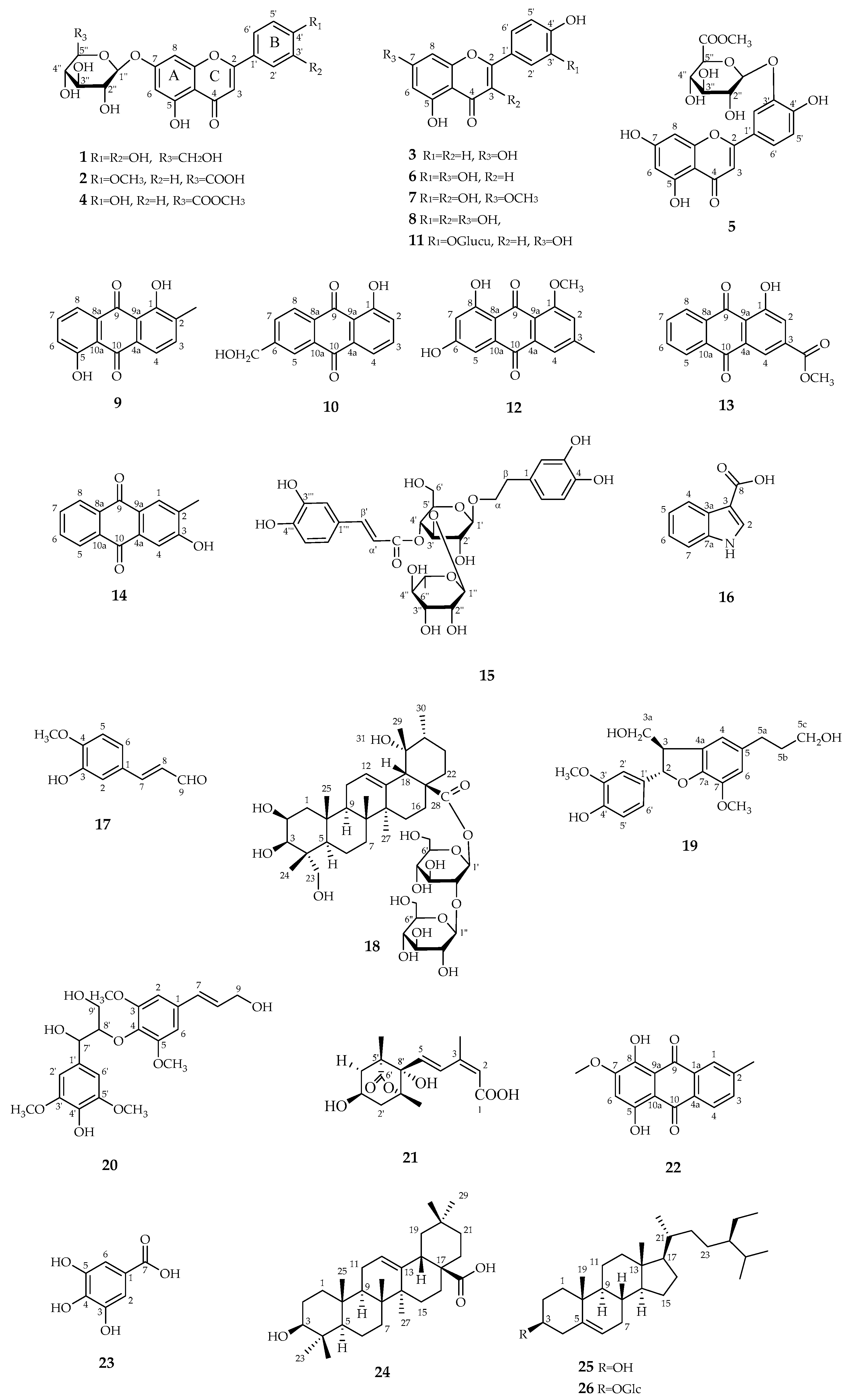 Antioxidants 12 00664 g001