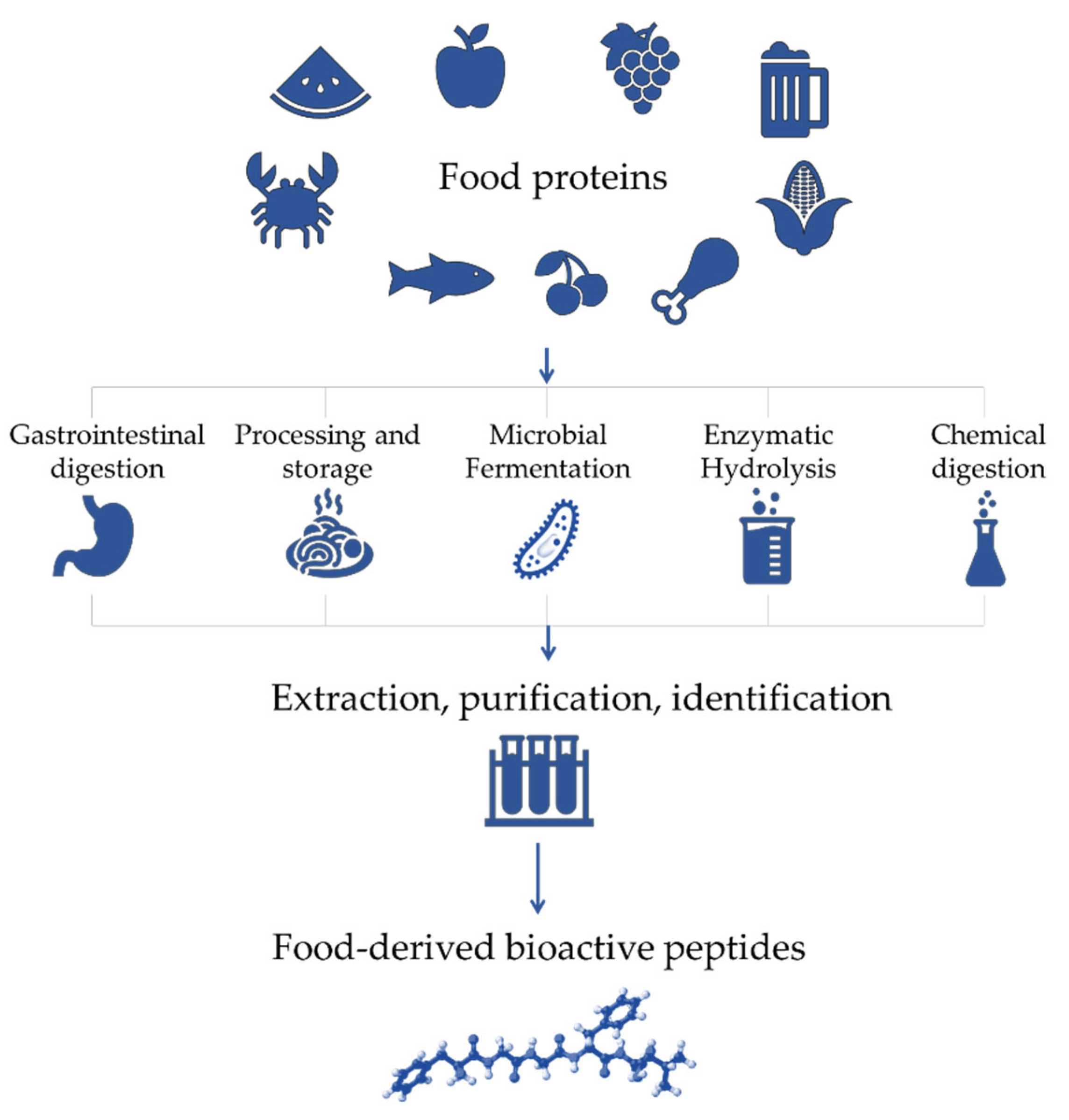 Antioxidants 12 00665 g001 Antioxidants 12 00665 g001