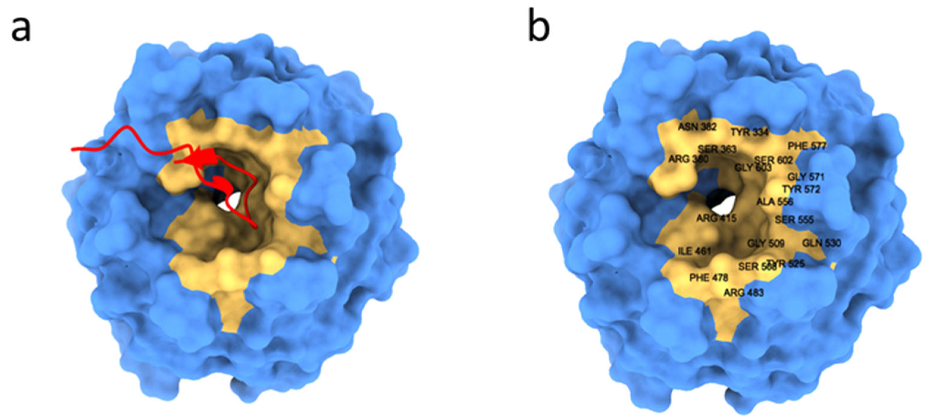 Antioxidants 12 00665 g004 Antioxidants 12 00665 g004