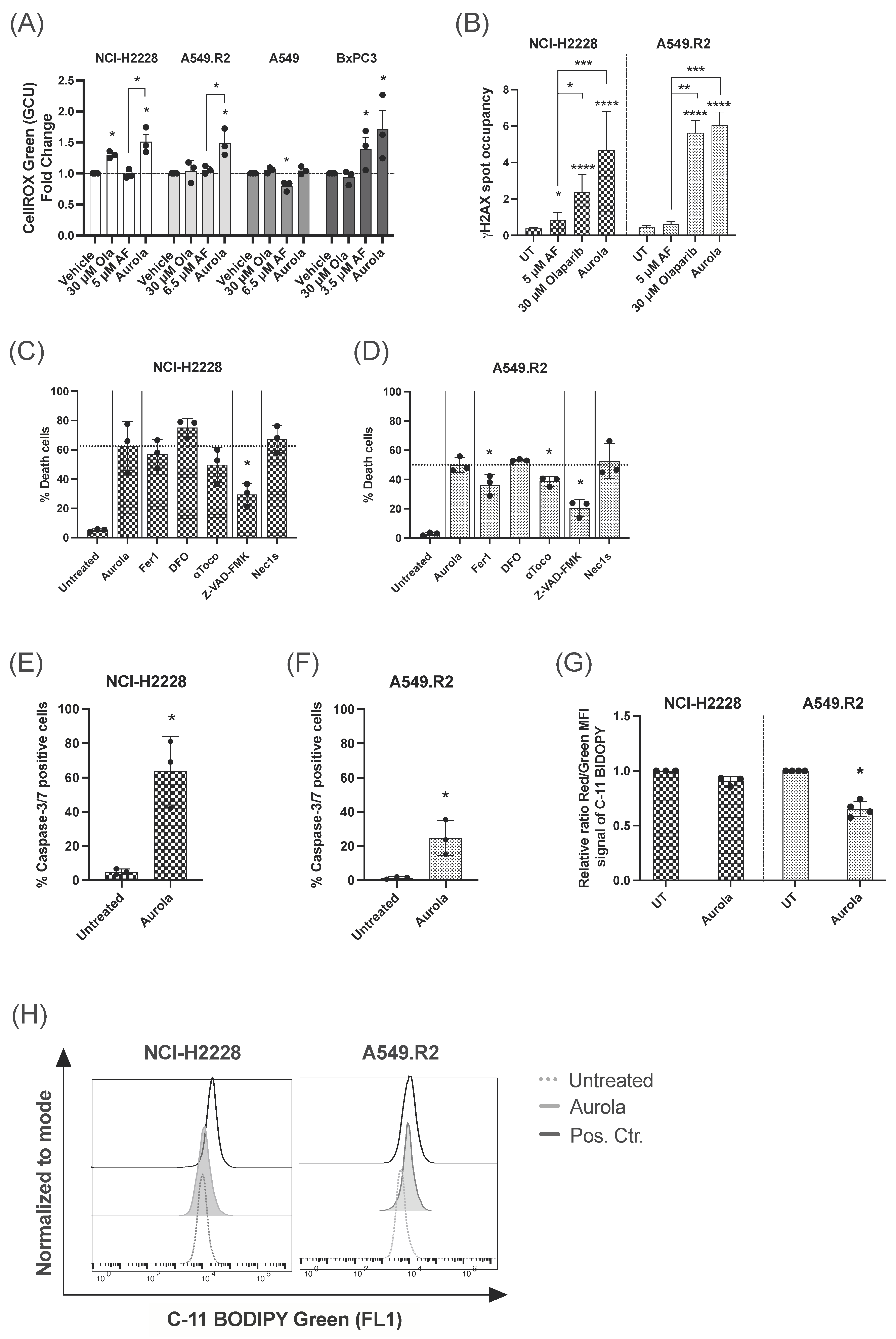 Antioxidants 12 00667 g003