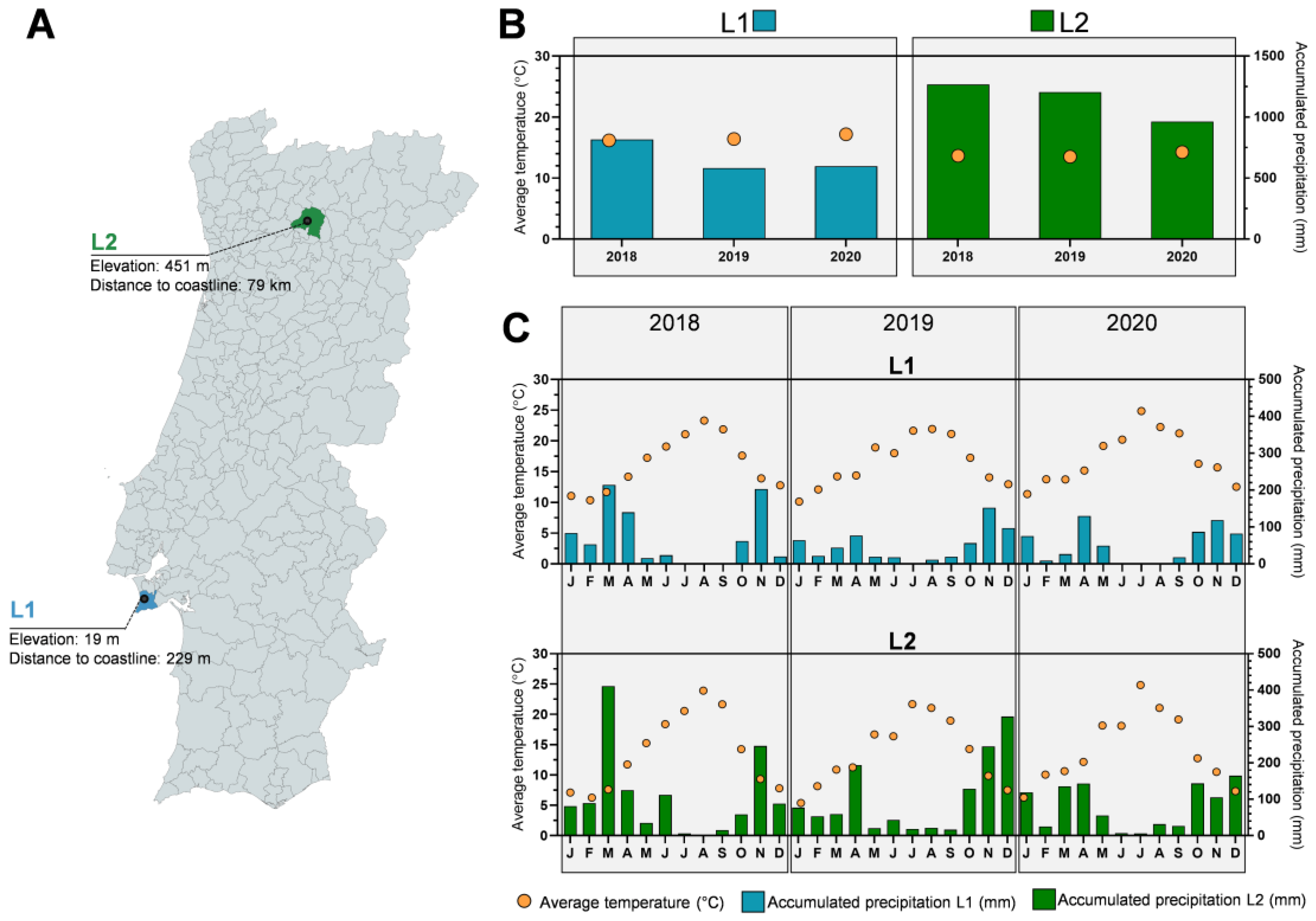 Antioxidants 12 00668 g001 Antioxidants 12 00668 g001