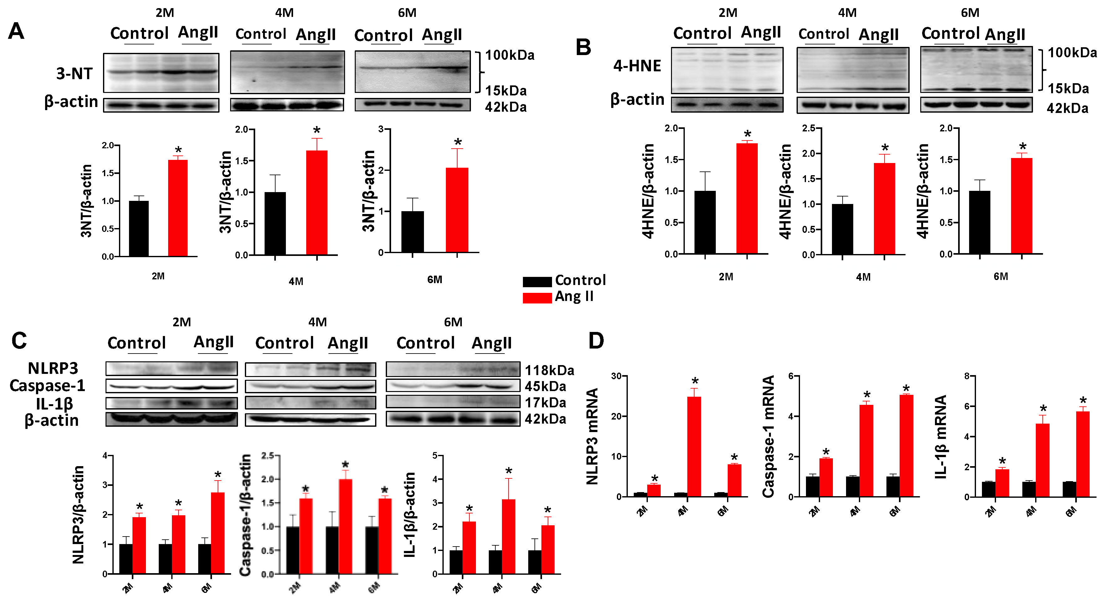 Antioxidants 12 00672 g002