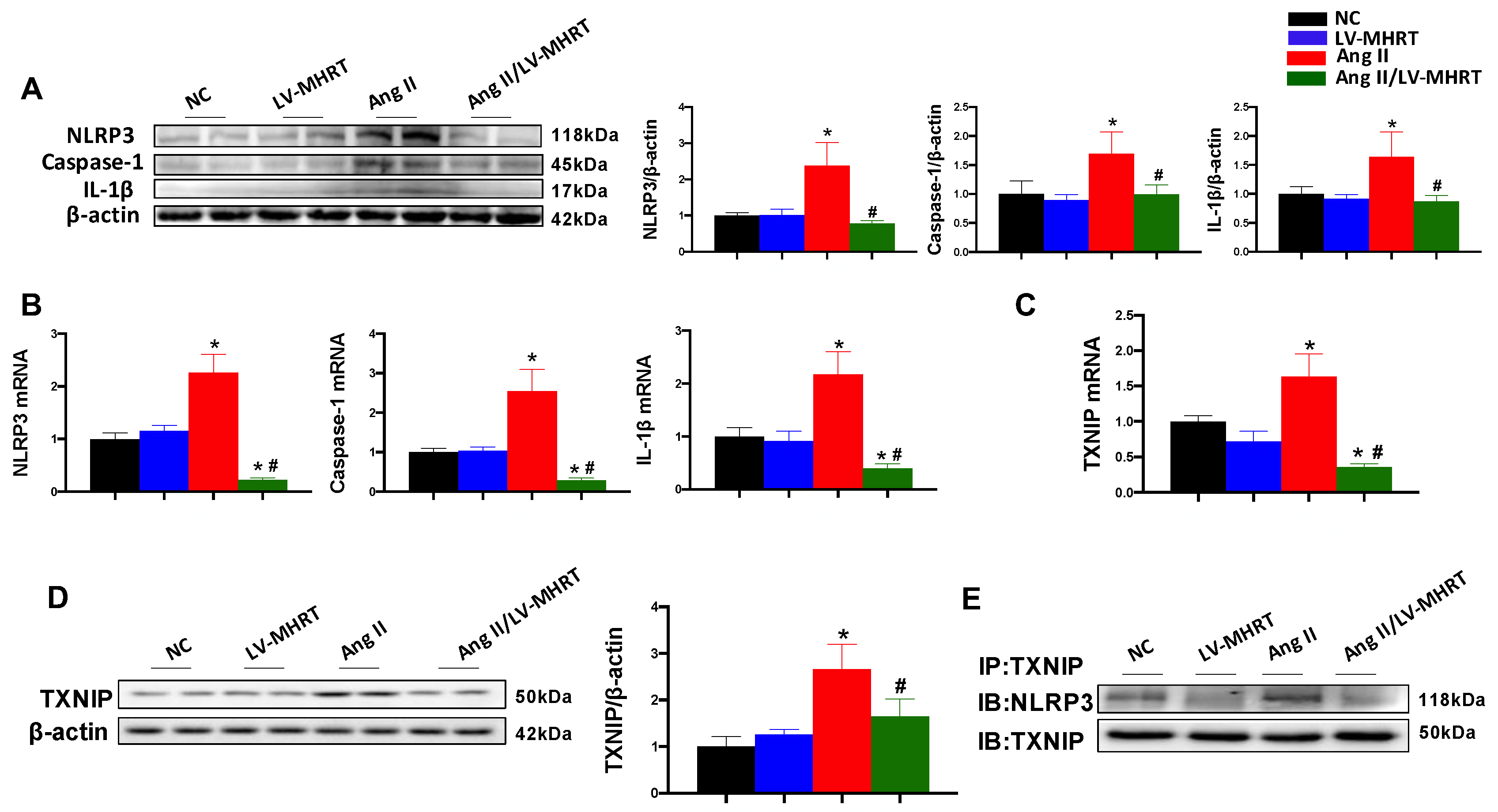 Antioxidants 12 00672 g006