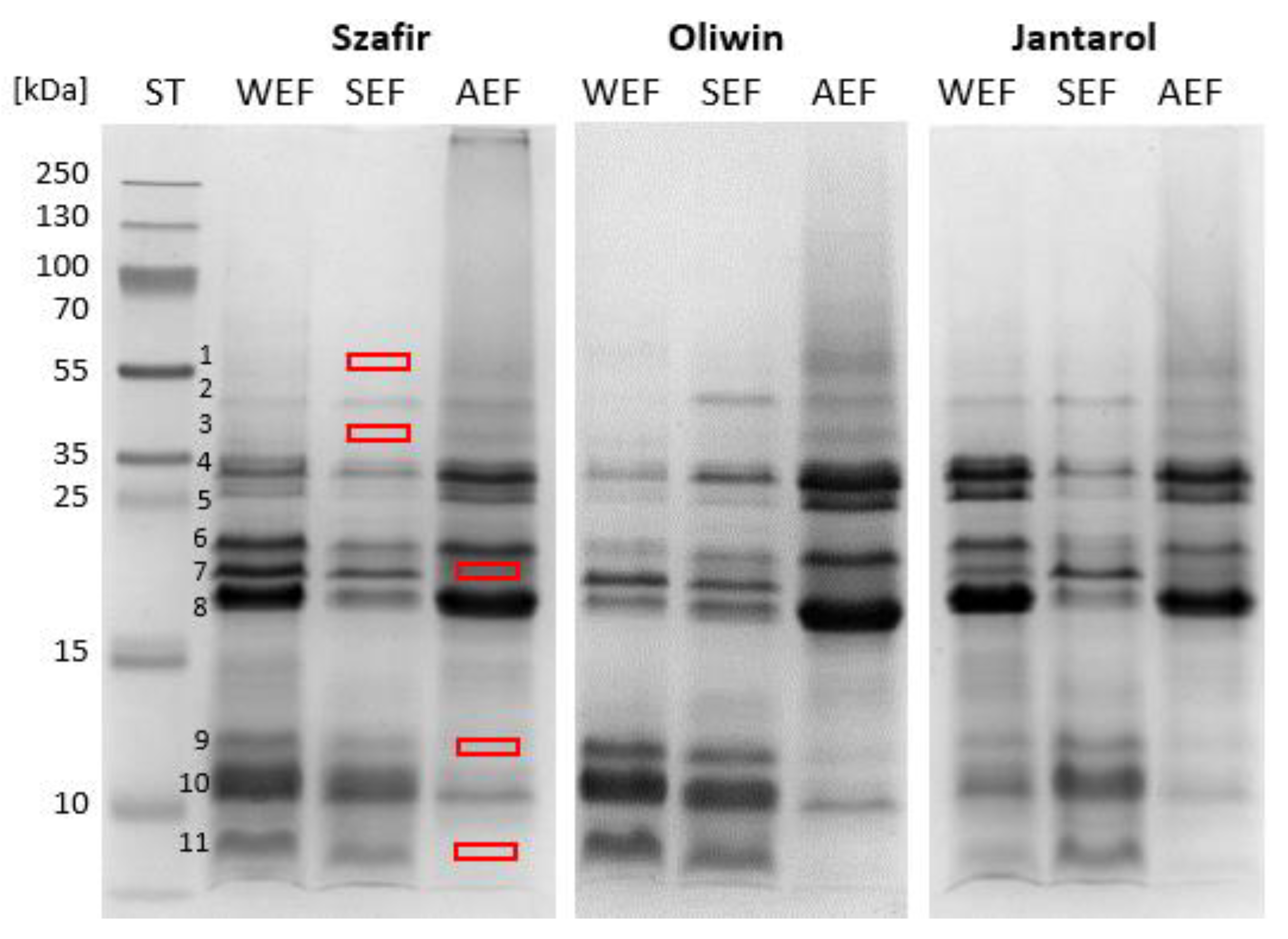 Antioxidants 12 00675 g002 Antioxidants 12 00675 g002