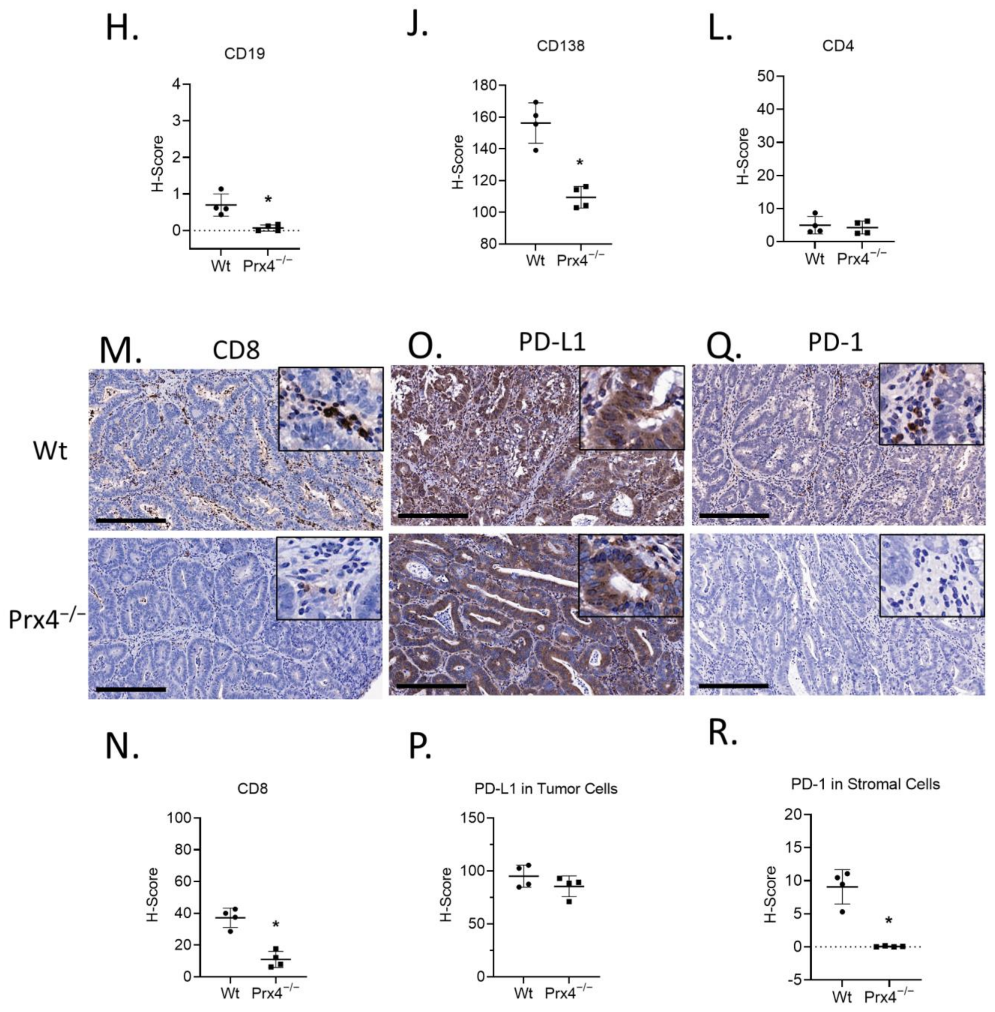 Antioxidants 12 00677 g004b