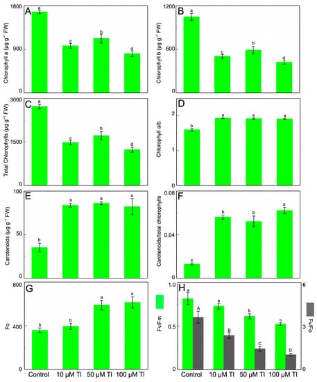 Antioxidants 12 00678 g001