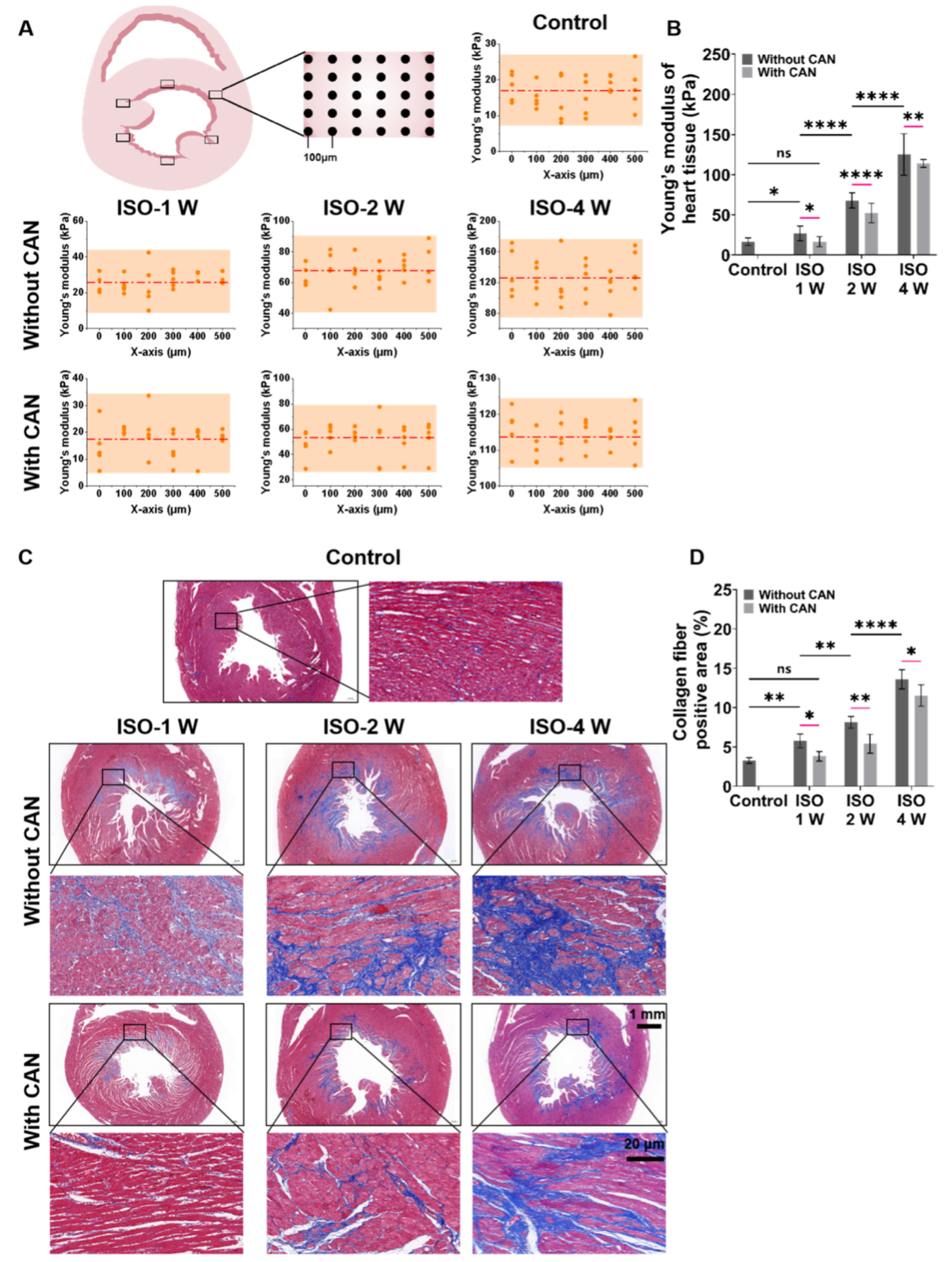 Antioxidants 12 00679 g001