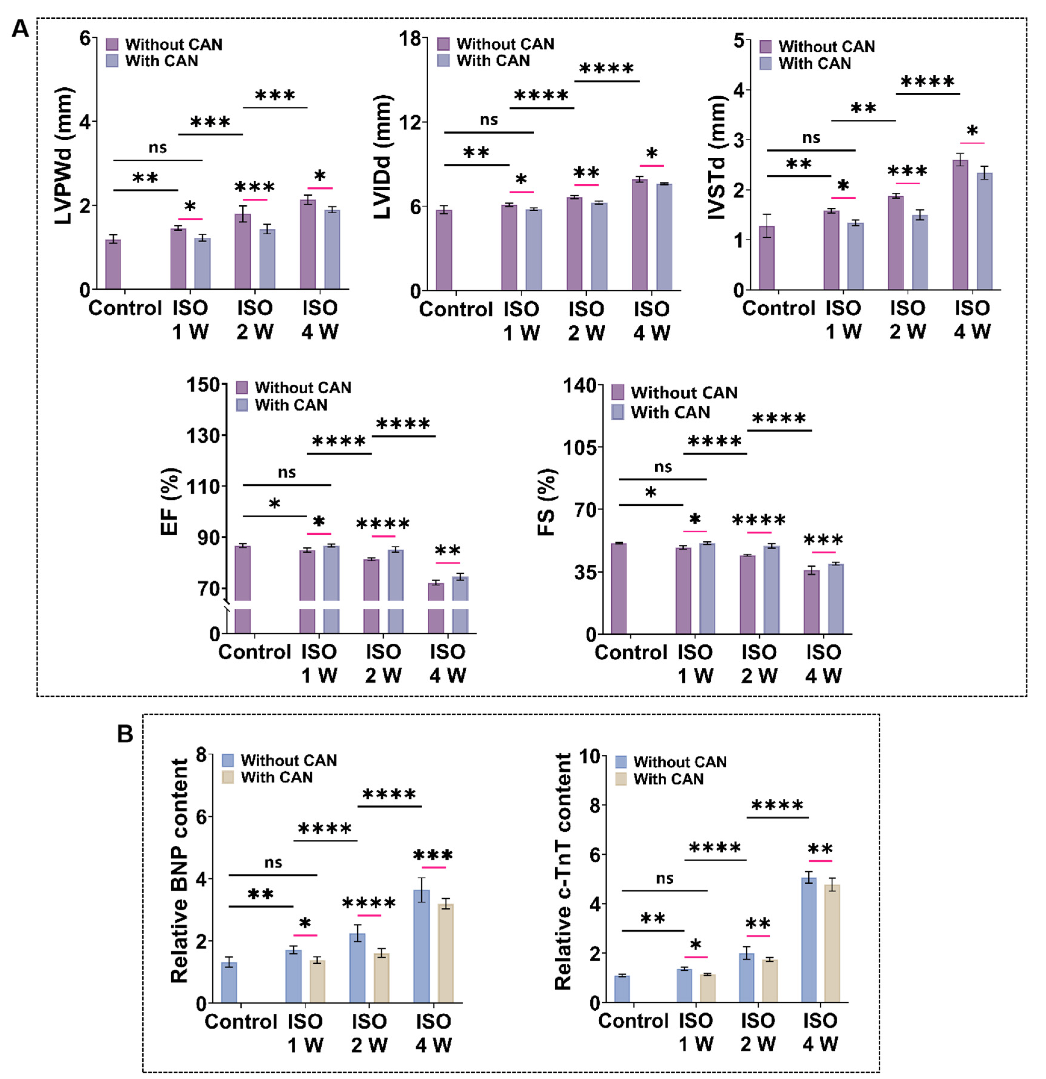 Antioxidants 12 00679 g002