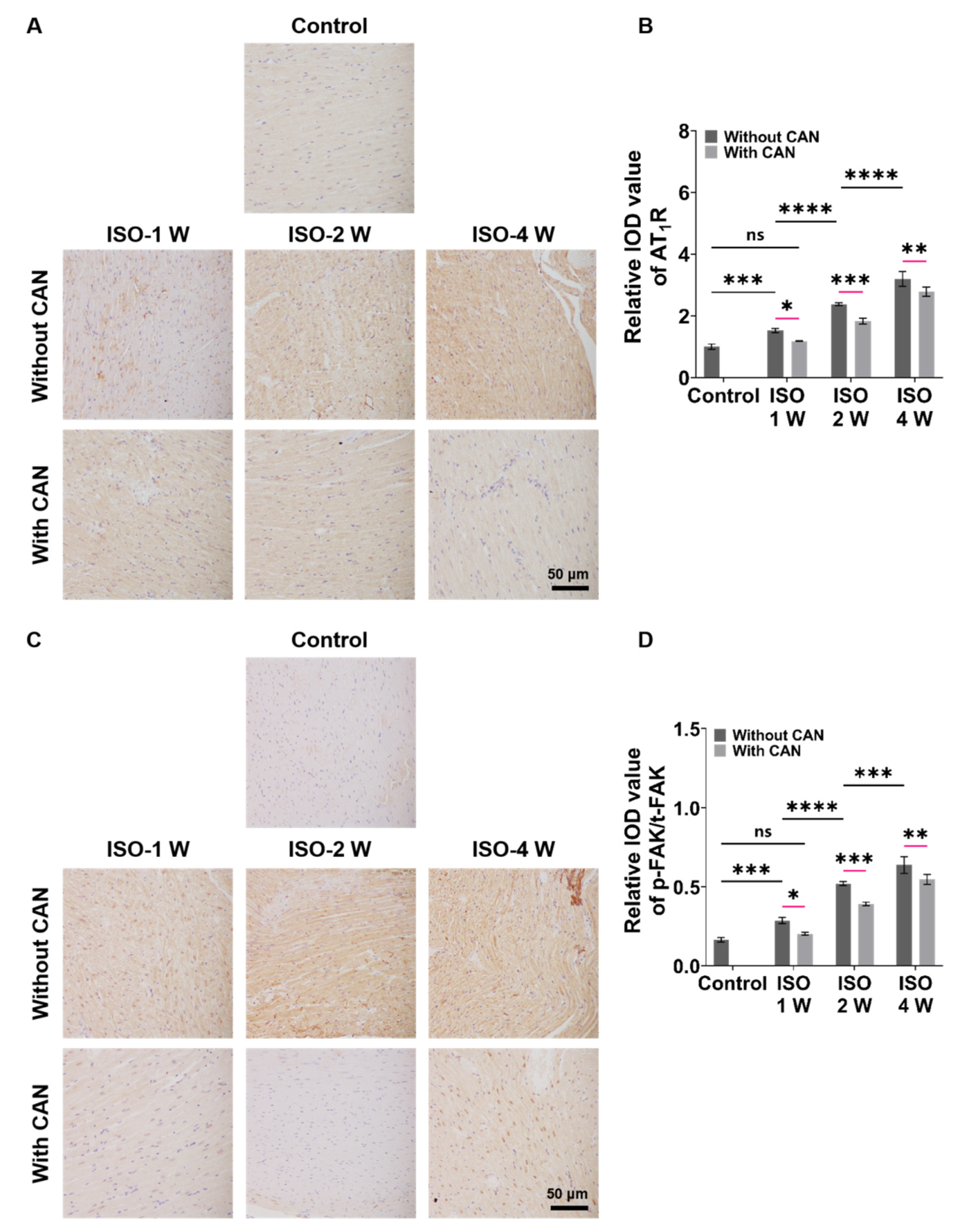 Antioxidants 12 00679 g003