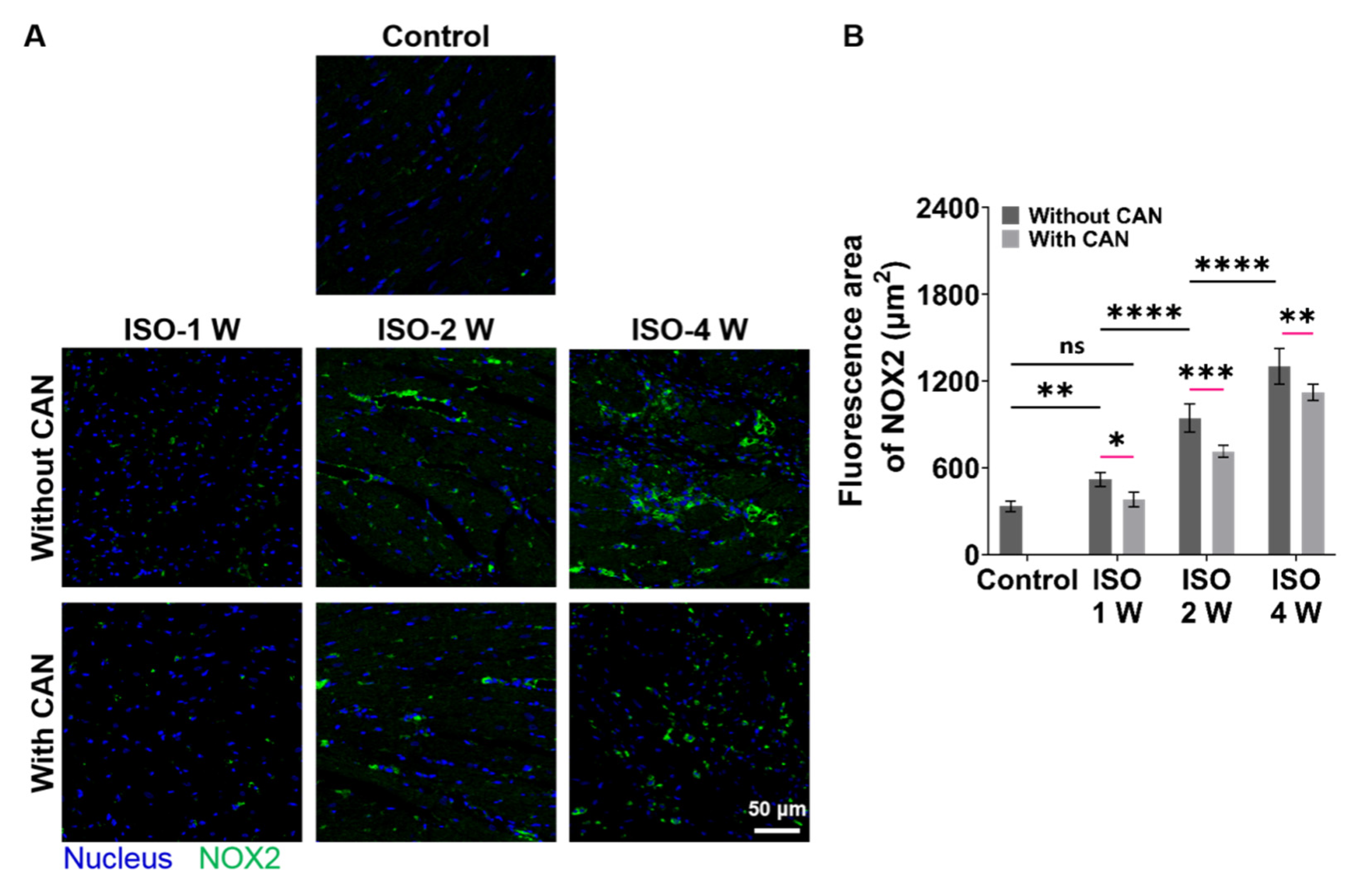 Antioxidants 12 00679 g004