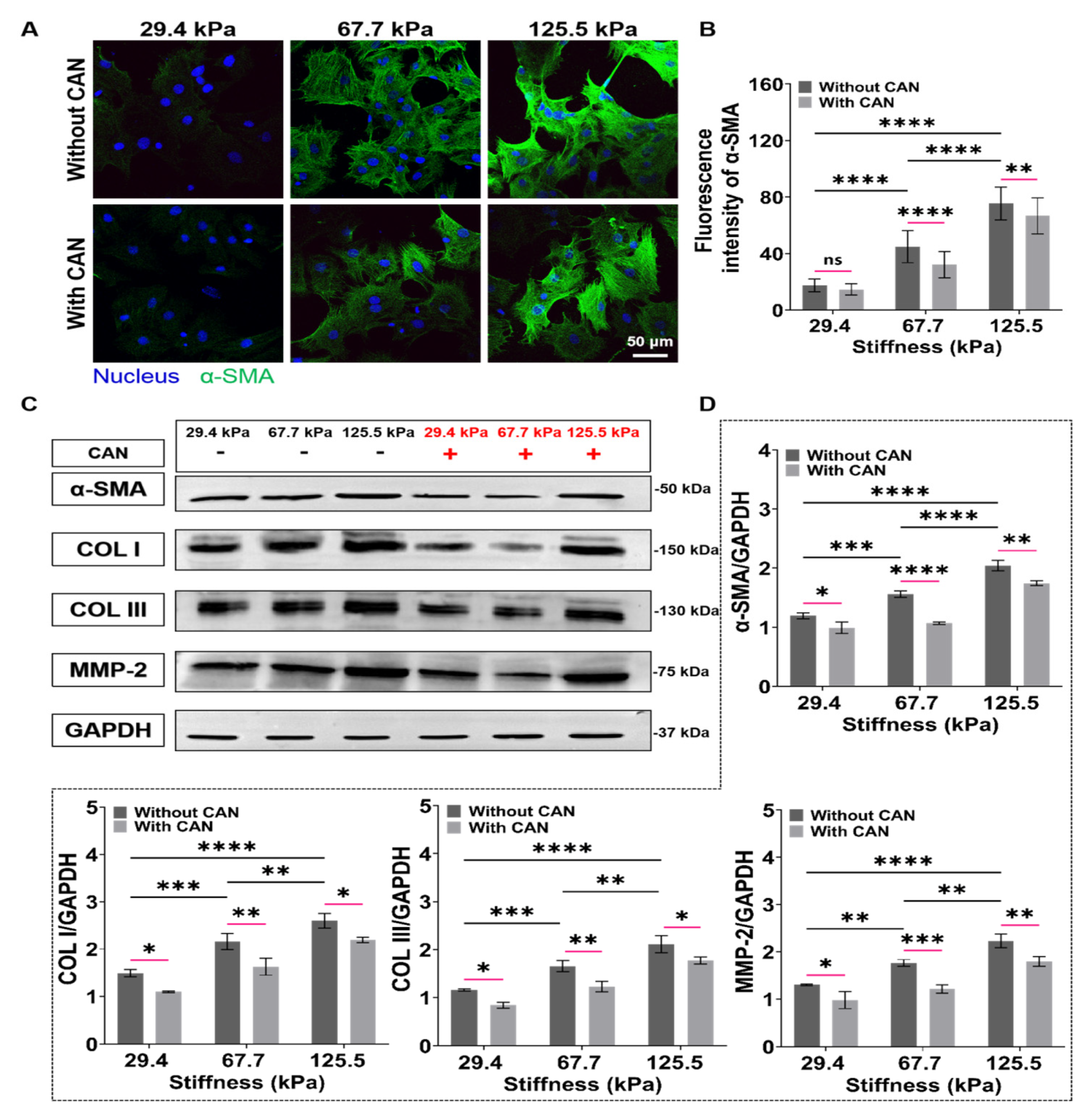 Antioxidants 12 00679 g006