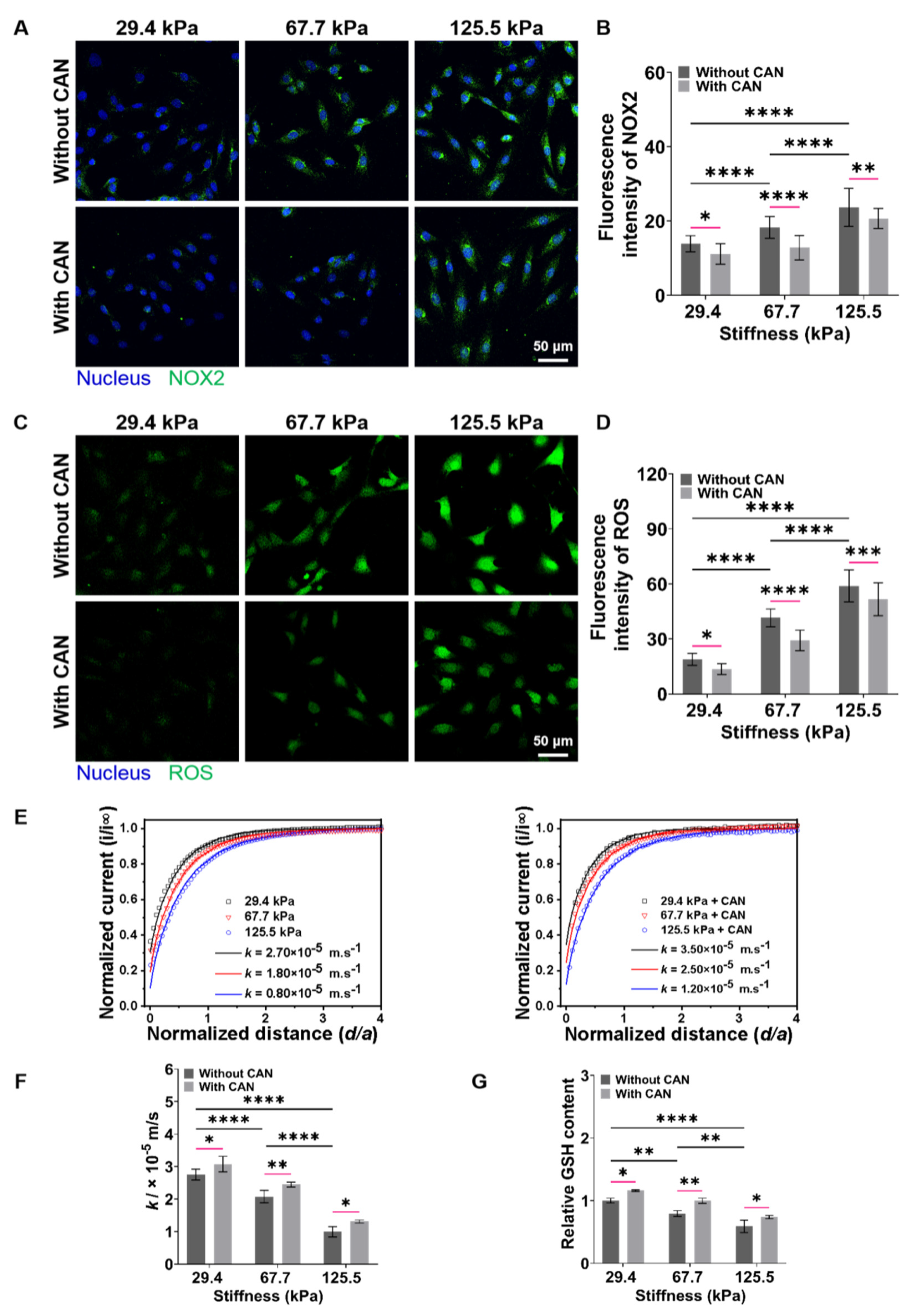 Antioxidants 12 00679 g007
