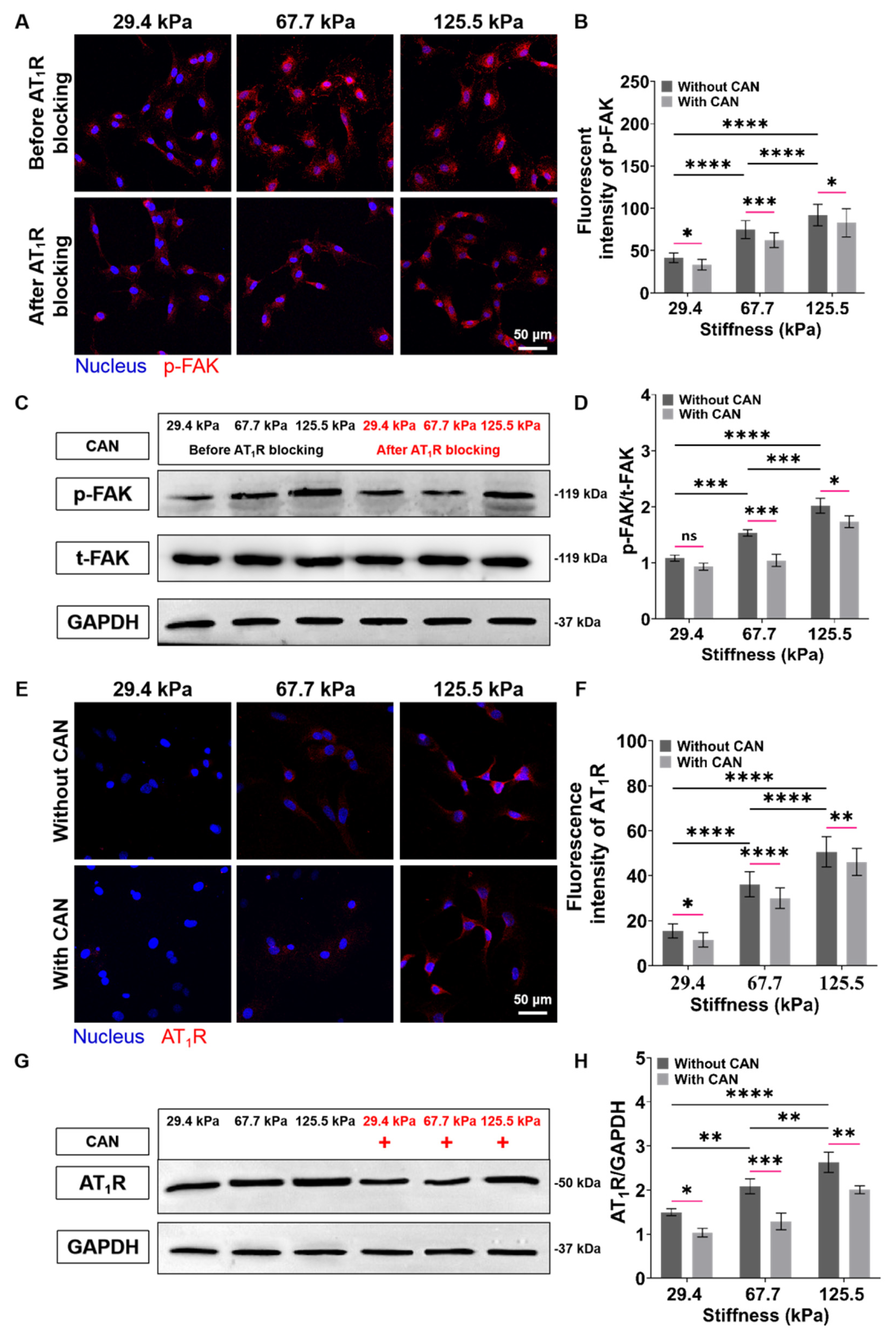 Antioxidants 12 00679 g008