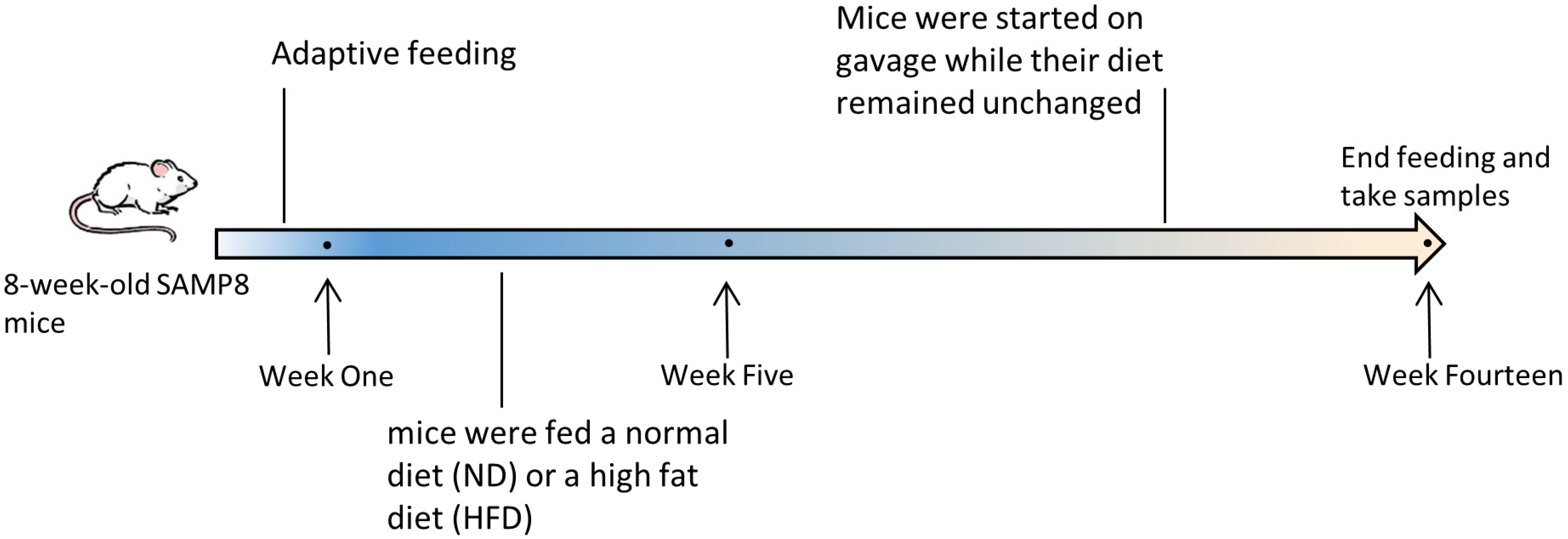 Antioxidants 12 00685 g001 Antioxidants 12 00685 g001