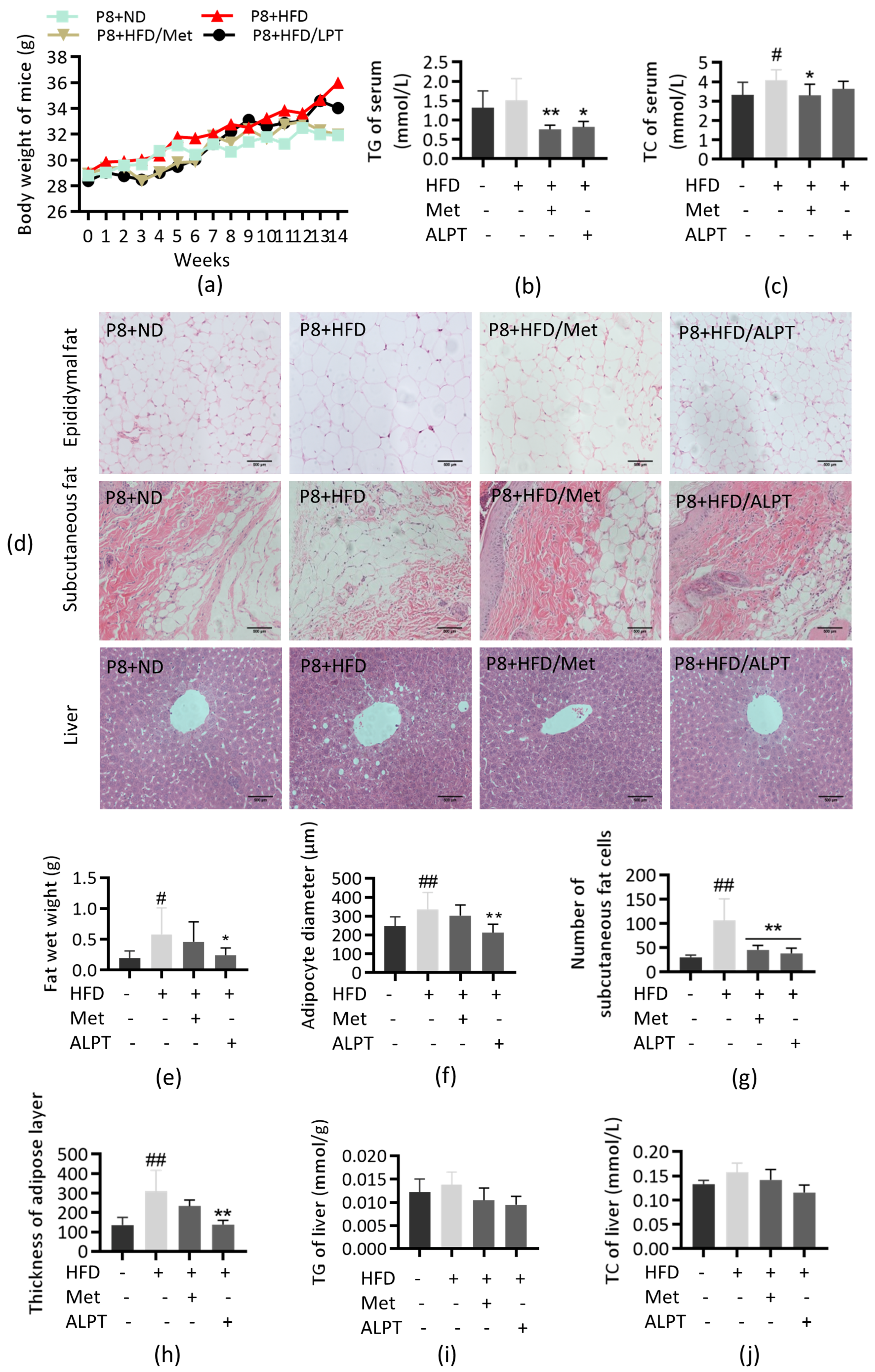 Antioxidants 12 00685 g002 Antioxidants 12 00685 g002