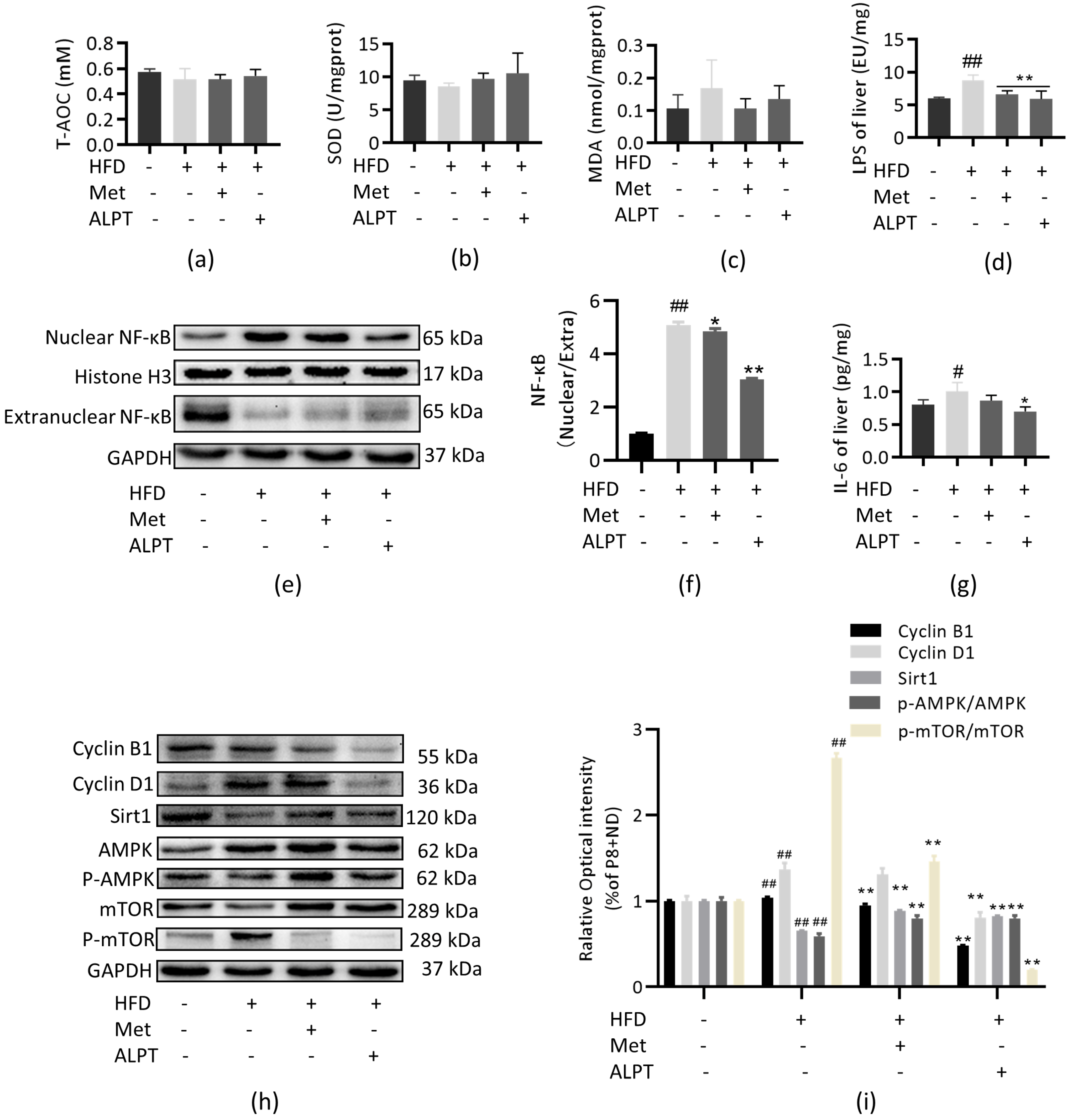 Antioxidants 12 00685 g003 Antioxidants 12 00685 g003