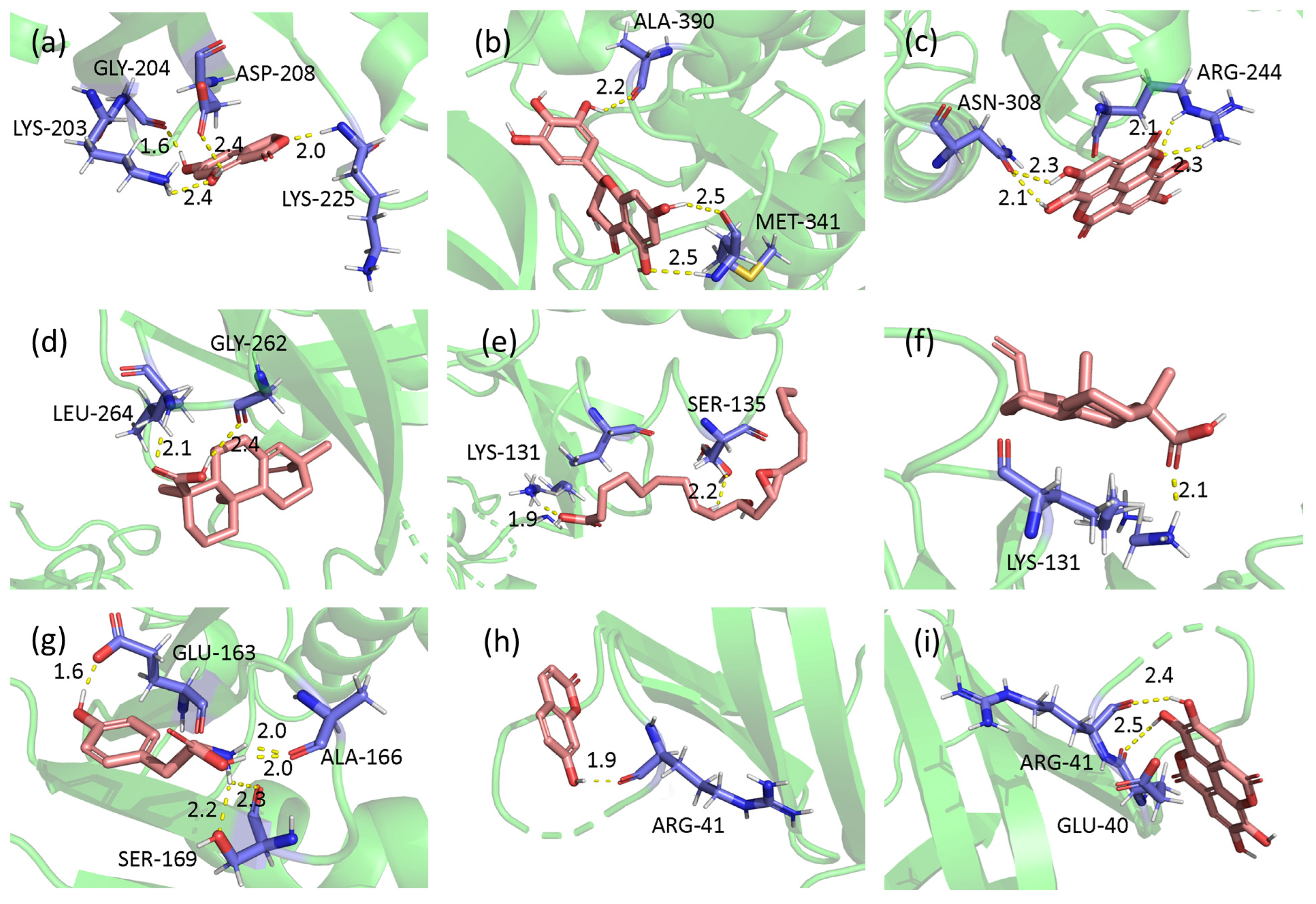 Antioxidants 12 00685 g008 Antioxidants 12 00685 g008