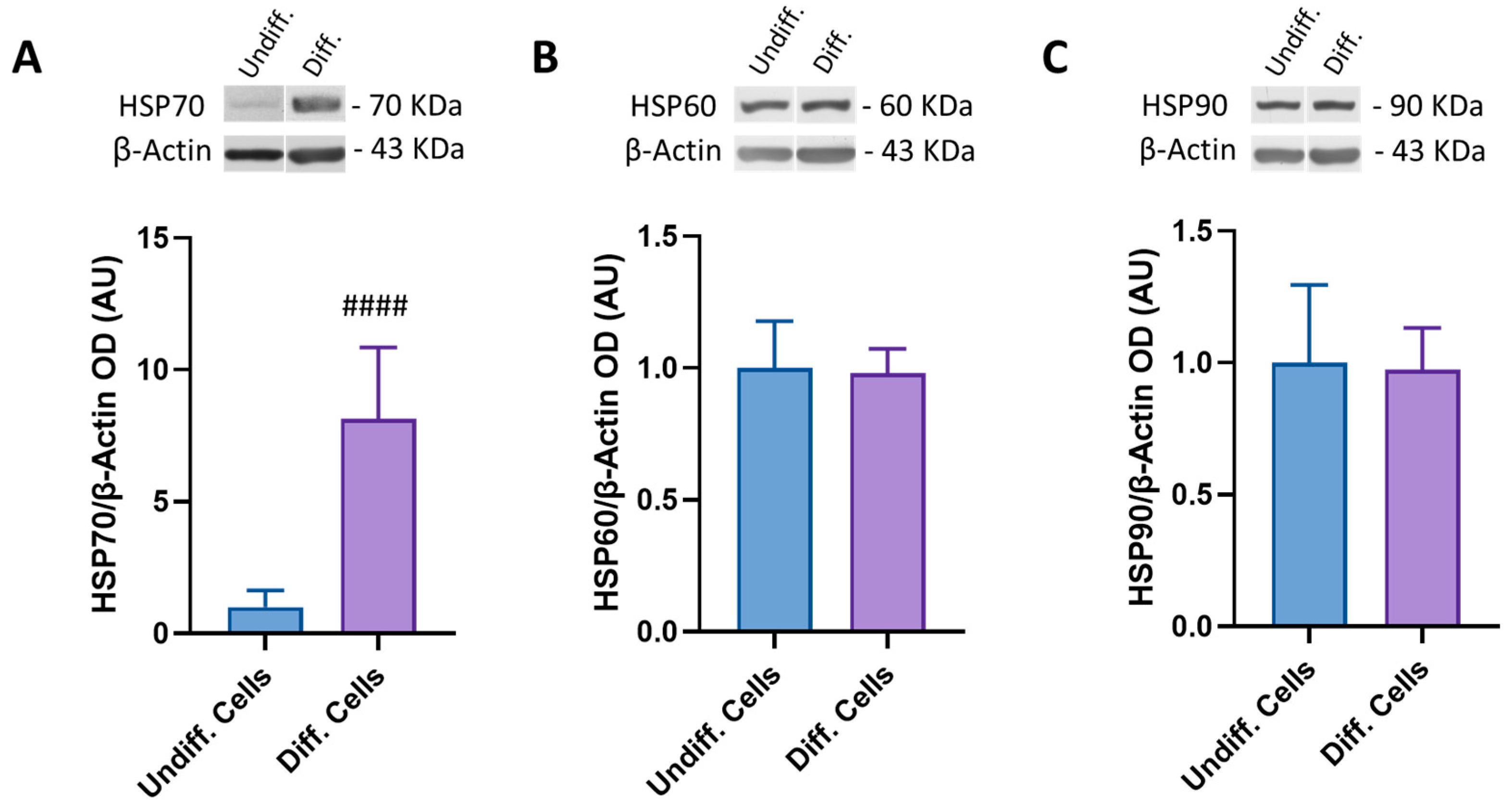 Antioxidants 12 00687 g002