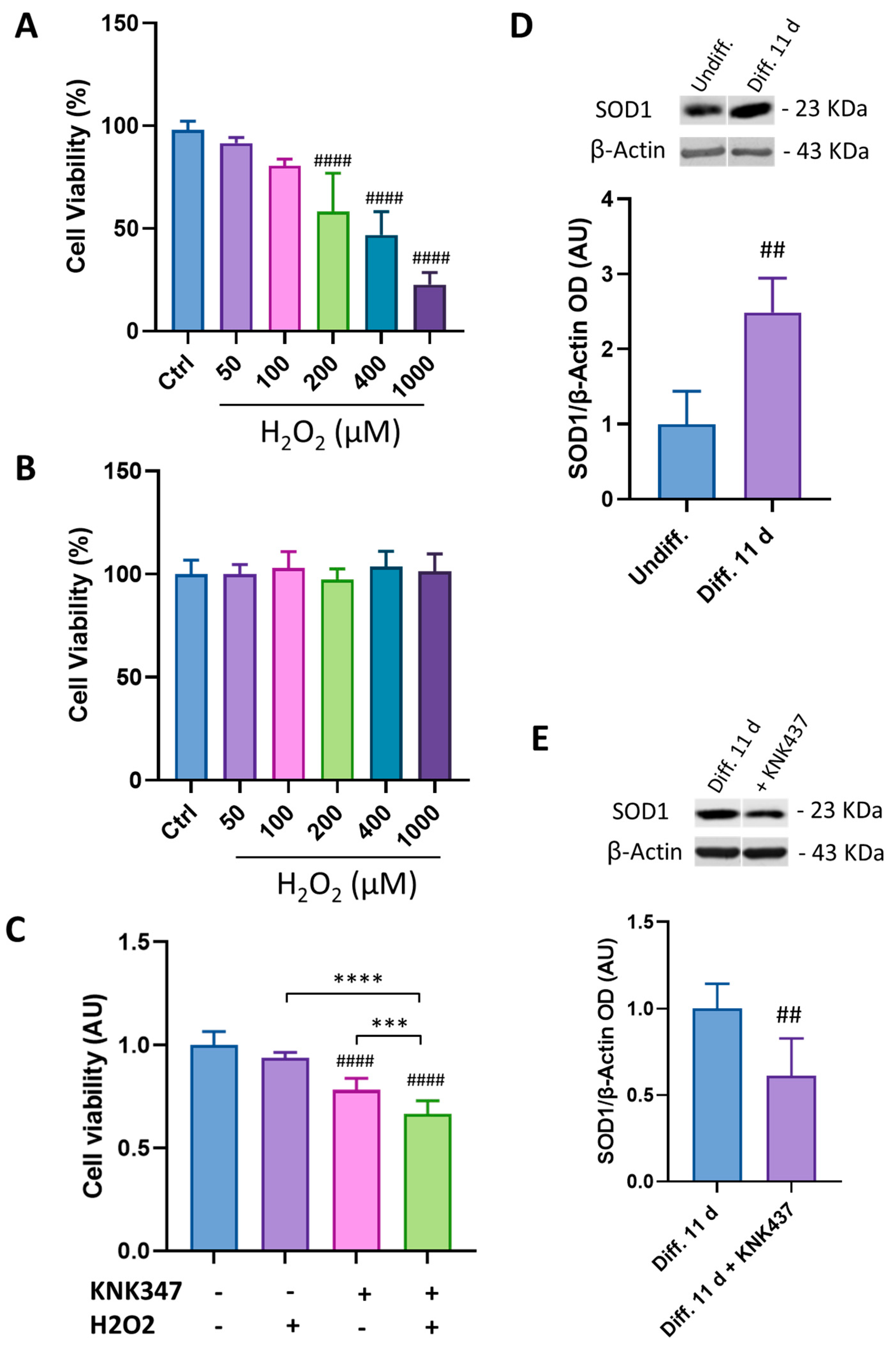 Antioxidants 12 00687 g004