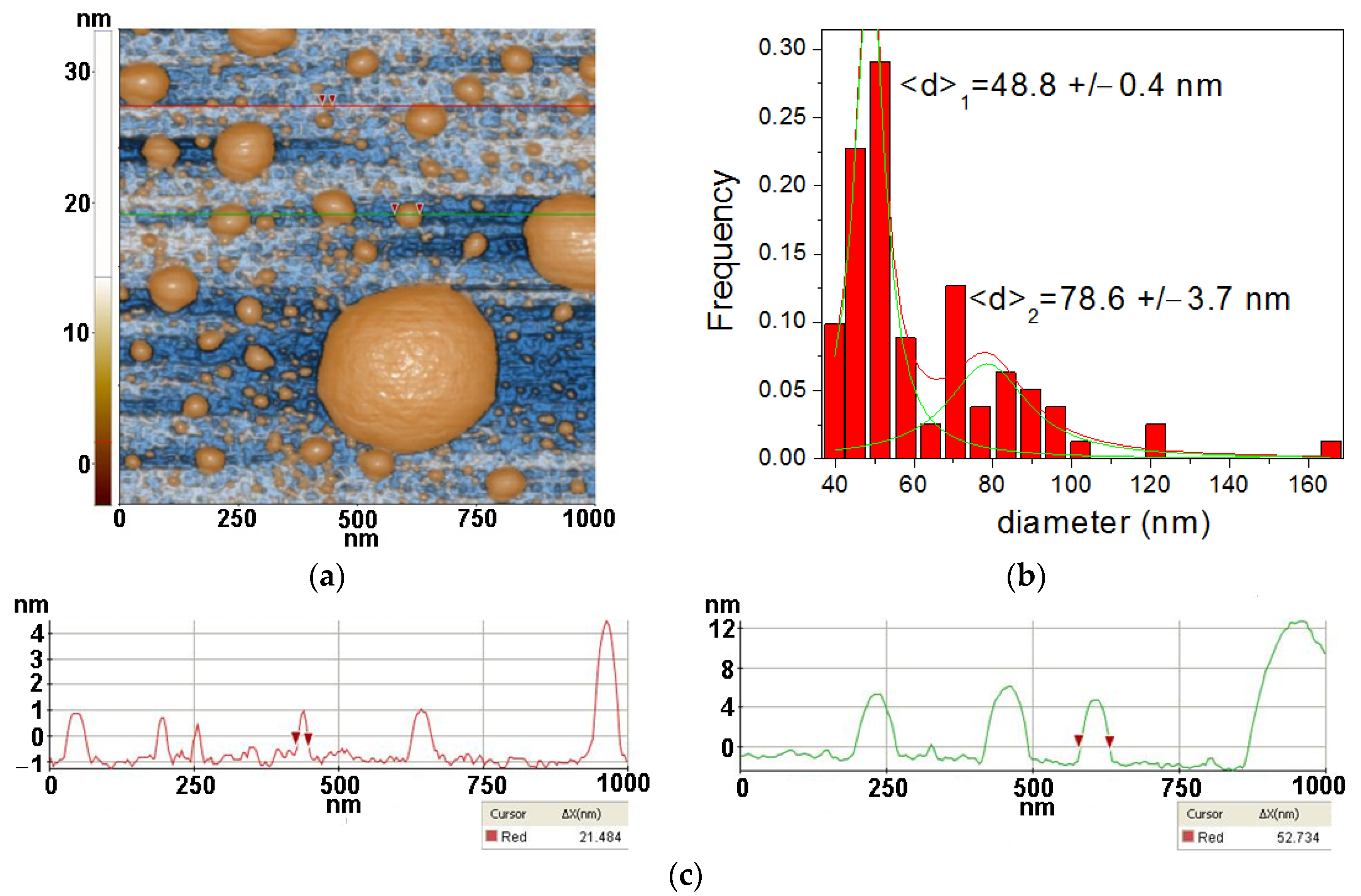 Antioxidants 12 00691 g003