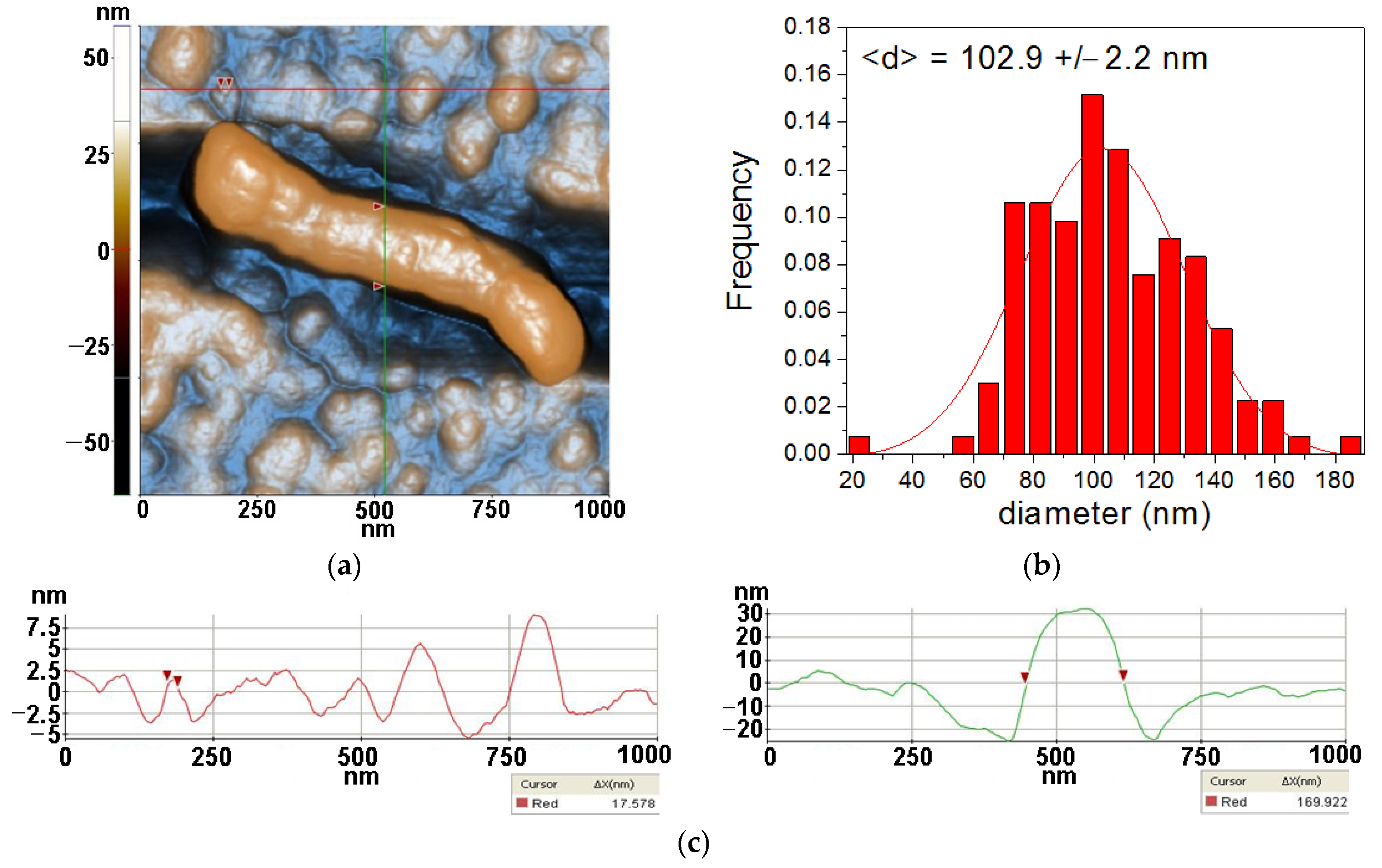 Antioxidants 12 00691 g004