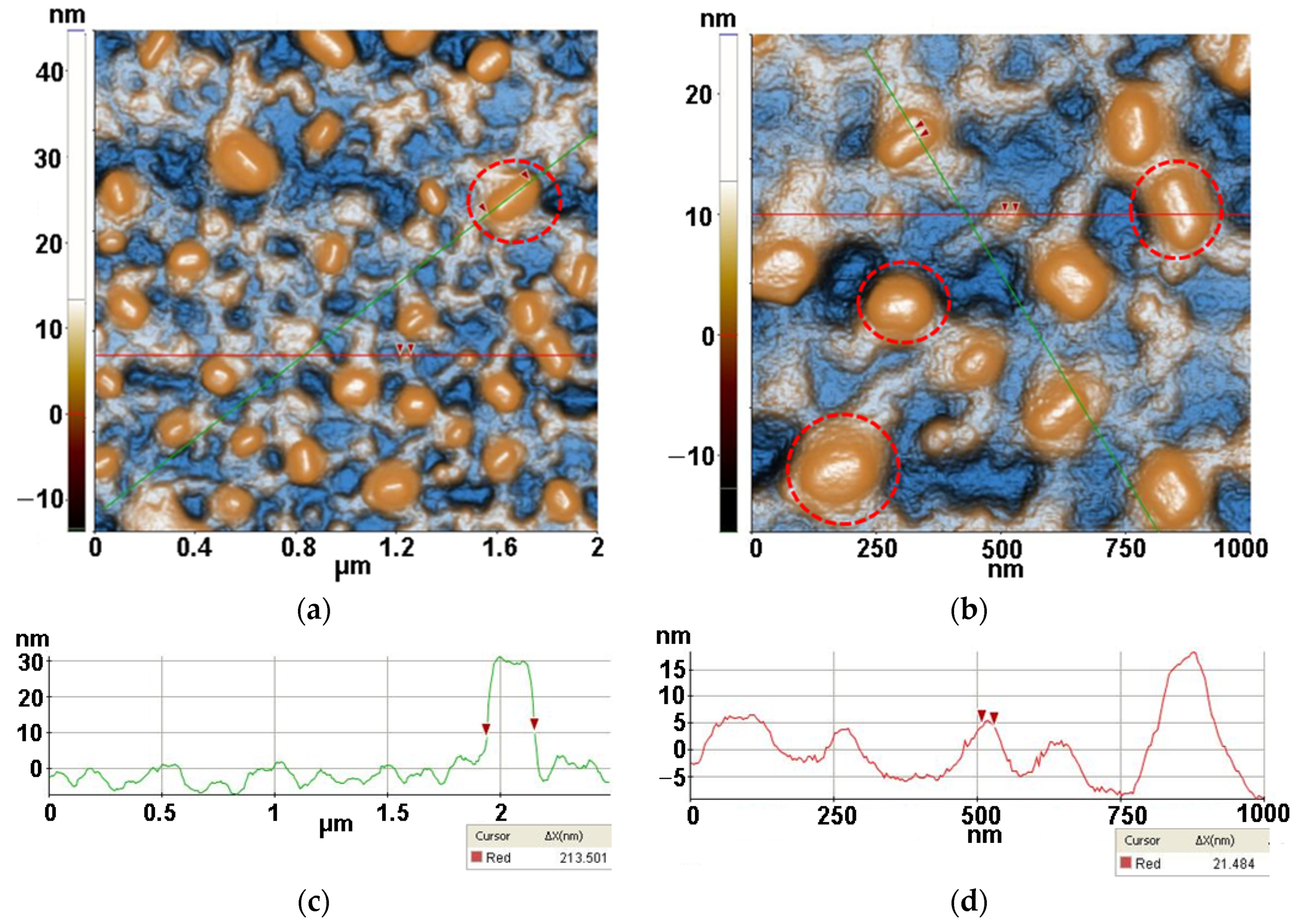 Antioxidants 12 00691 g006