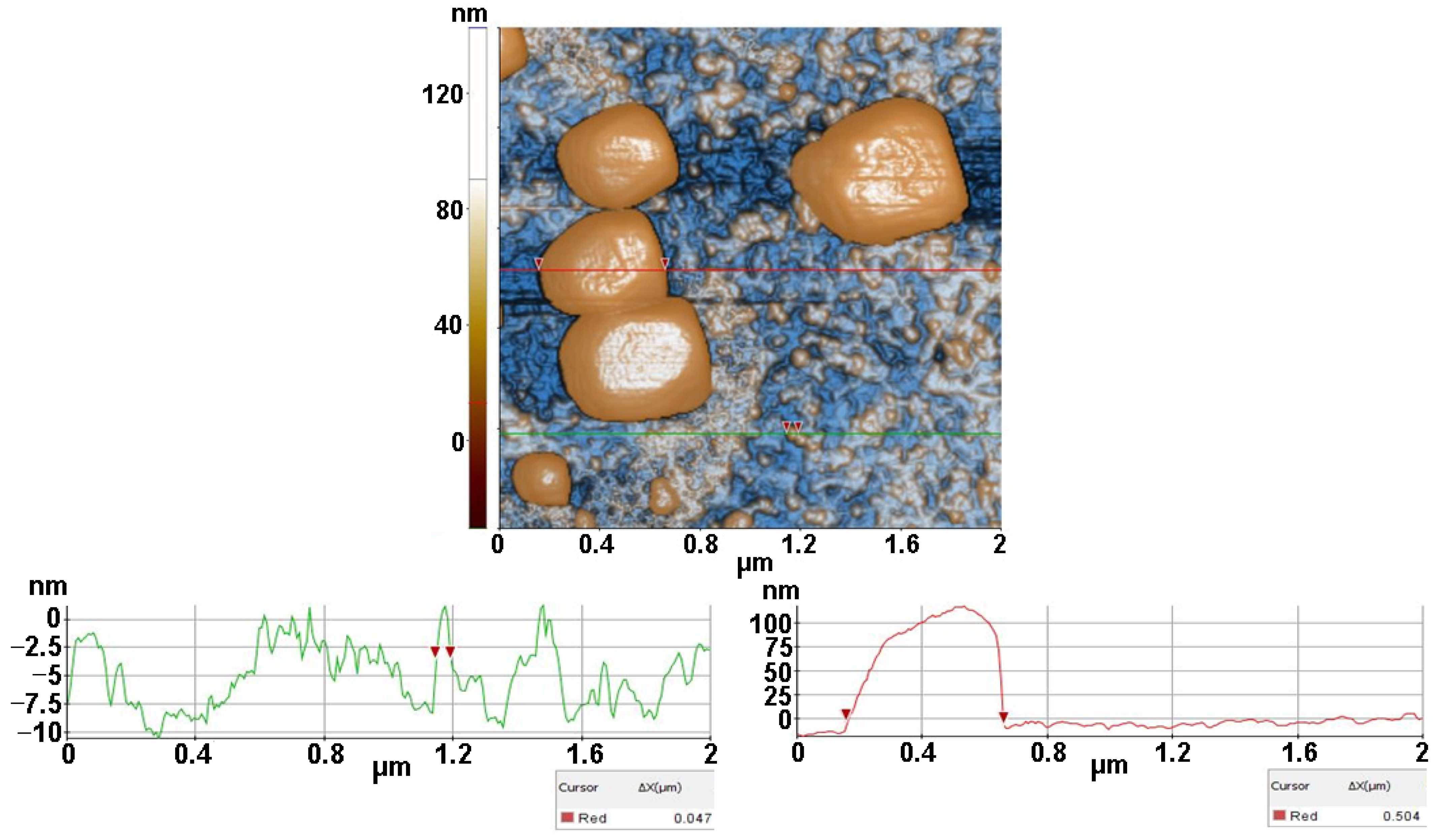 Antioxidants 12 00691 g008