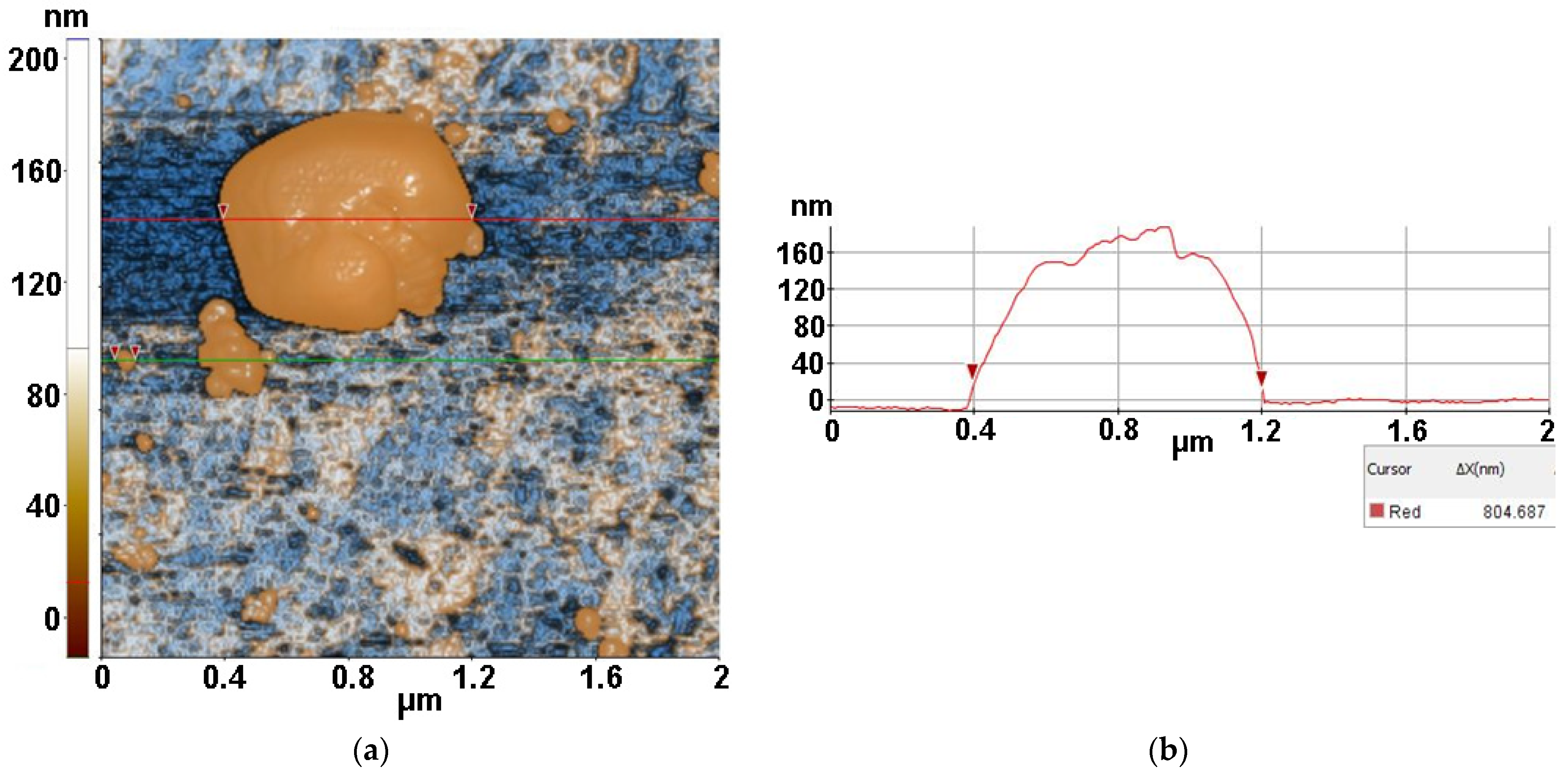 Antioxidants 12 00691 g011