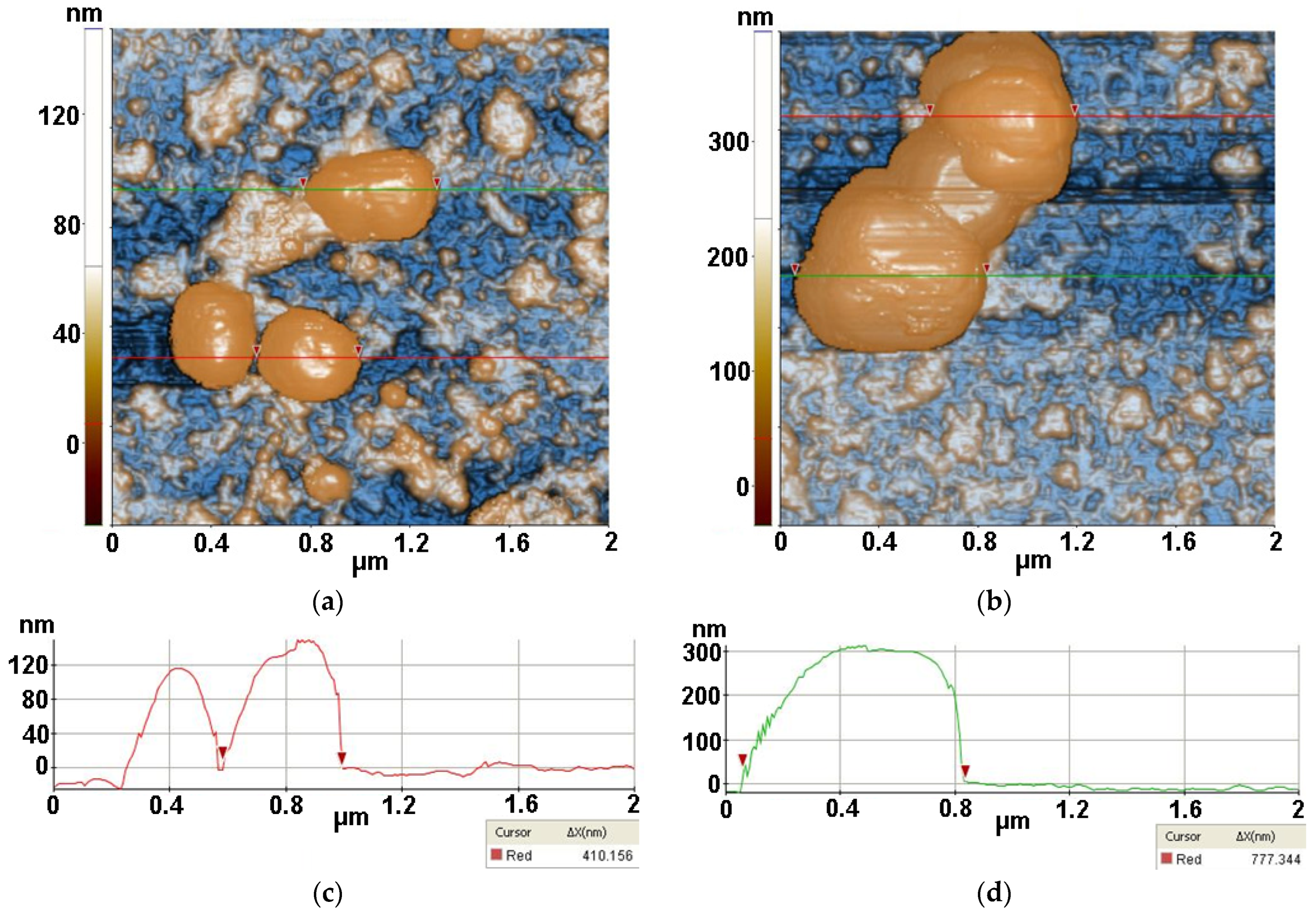 Antioxidants 12 00691 g012