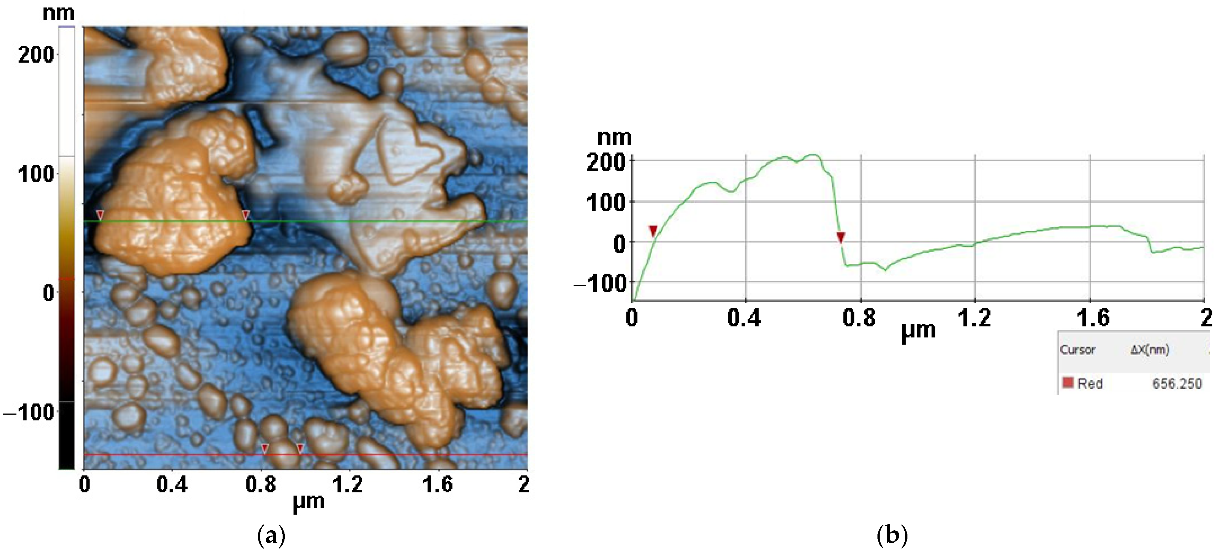 Antioxidants 12 00691 g013