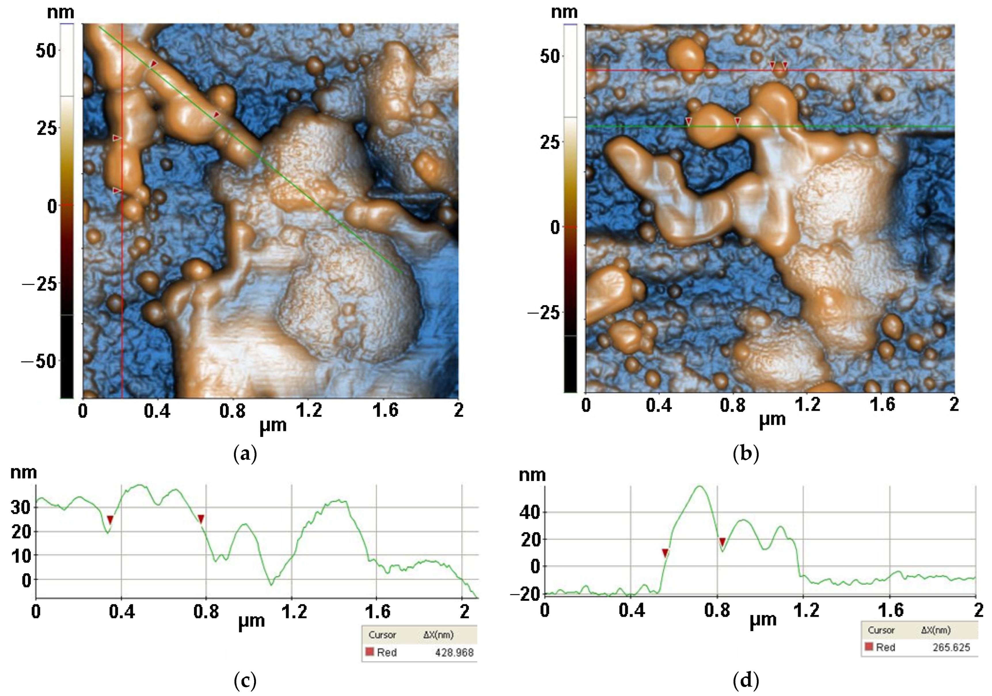 Antioxidants 12 00691 g014