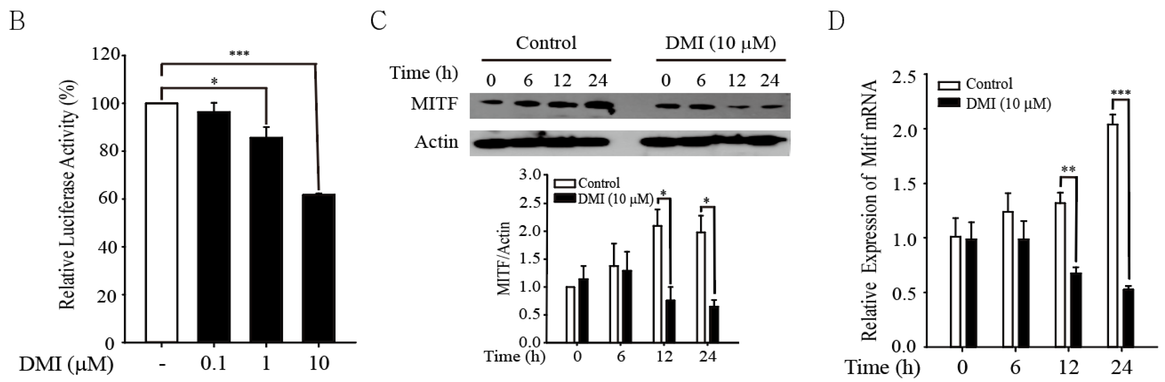 Antioxidants 12 00692 g003b