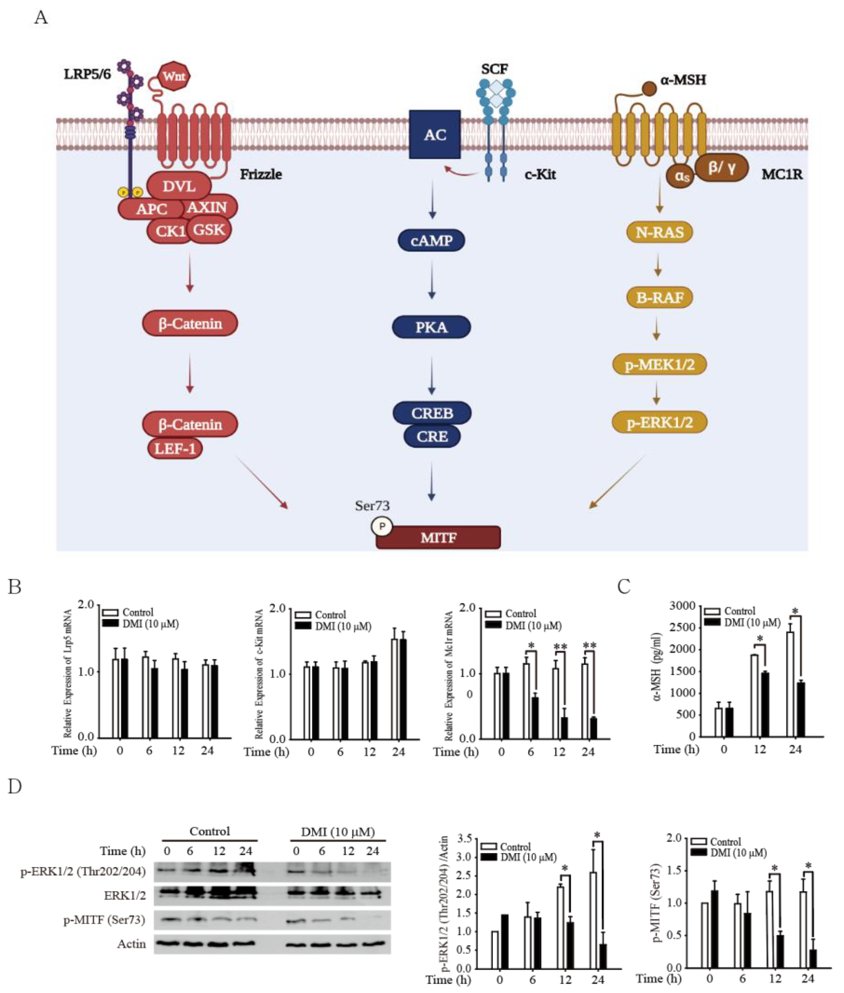 Antioxidants 12 00692 g004