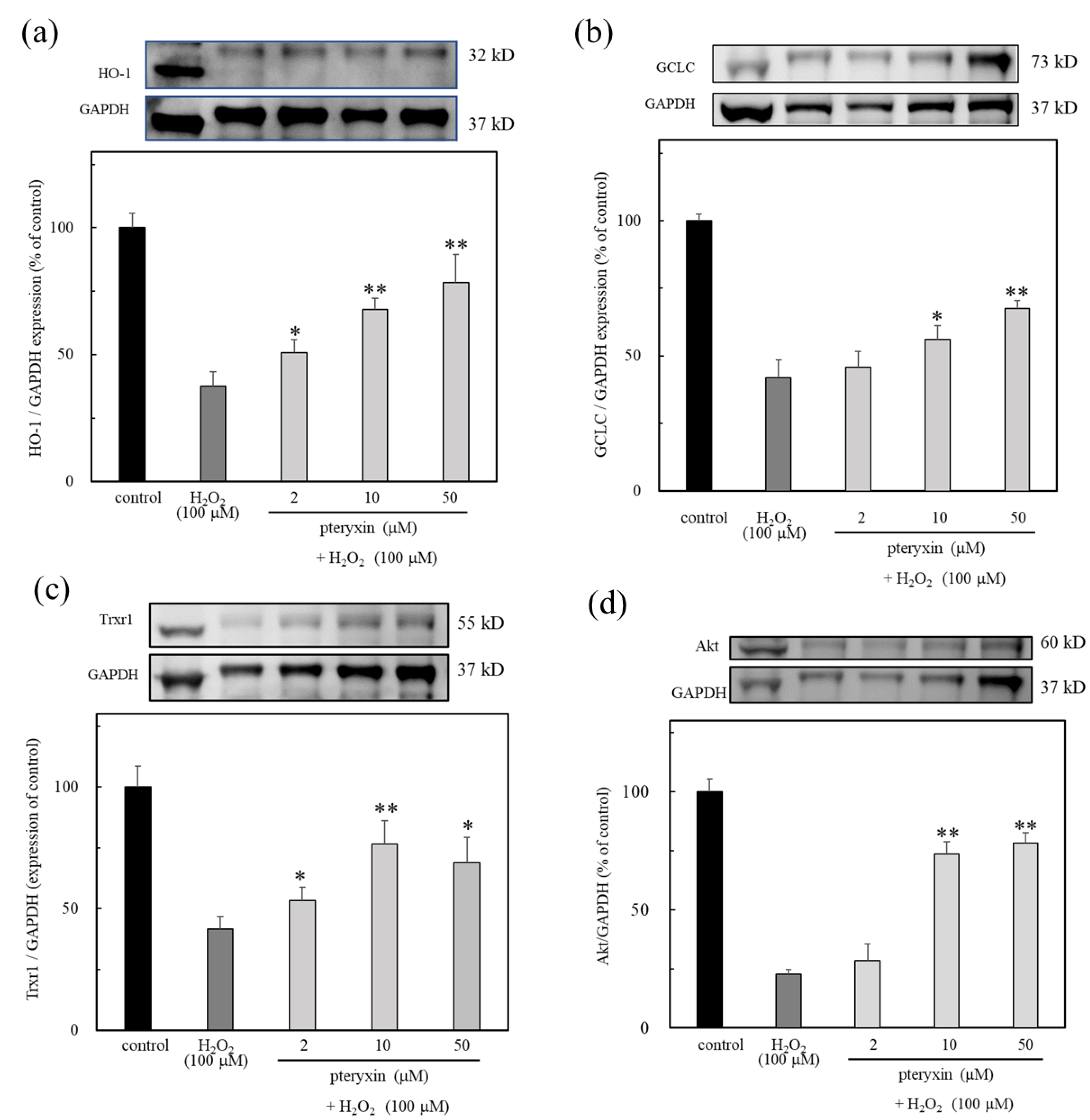 Antioxidants 12 00693 g006