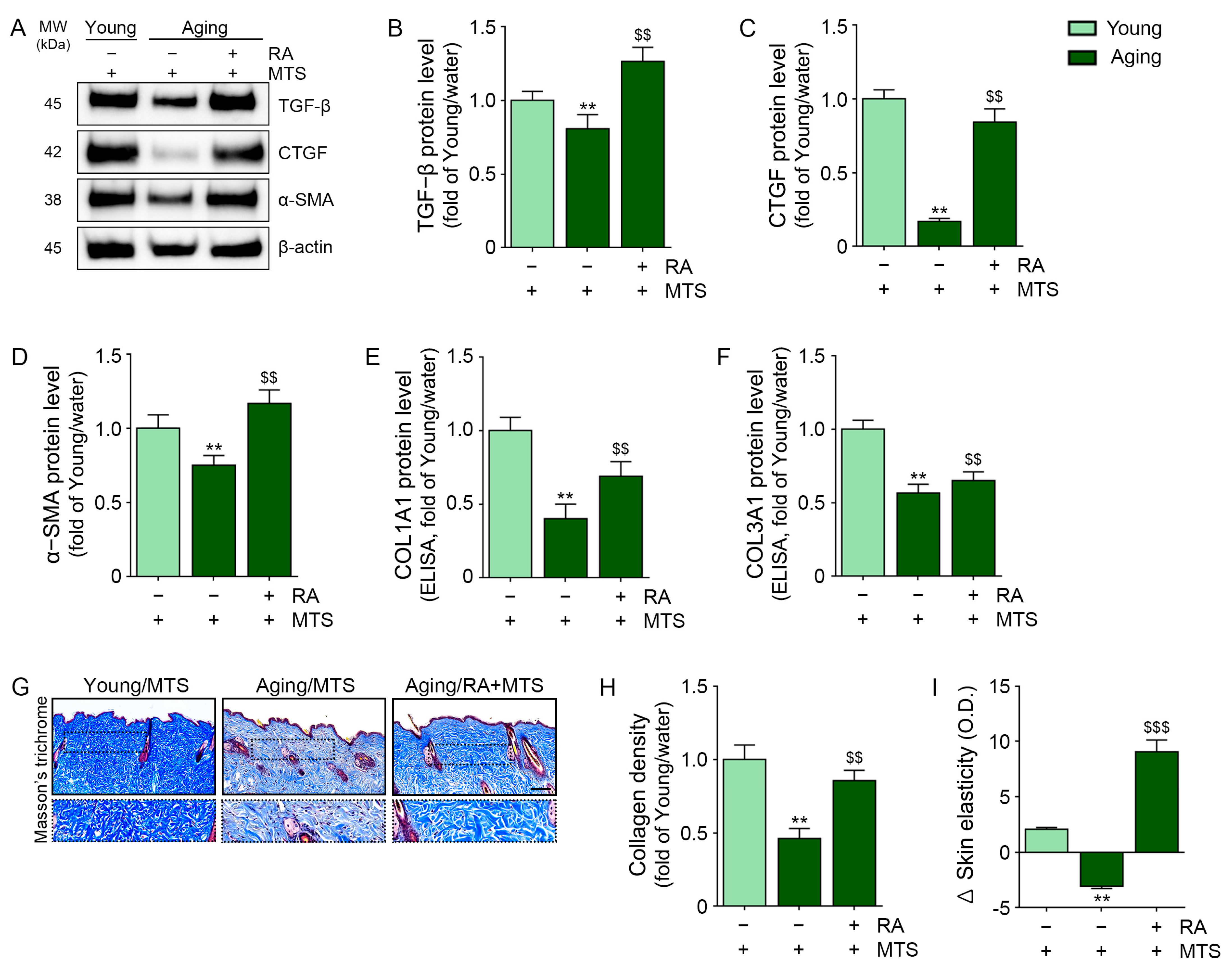 Antioxidants 12 00694 g006 Antioxidants 12 00694 g006