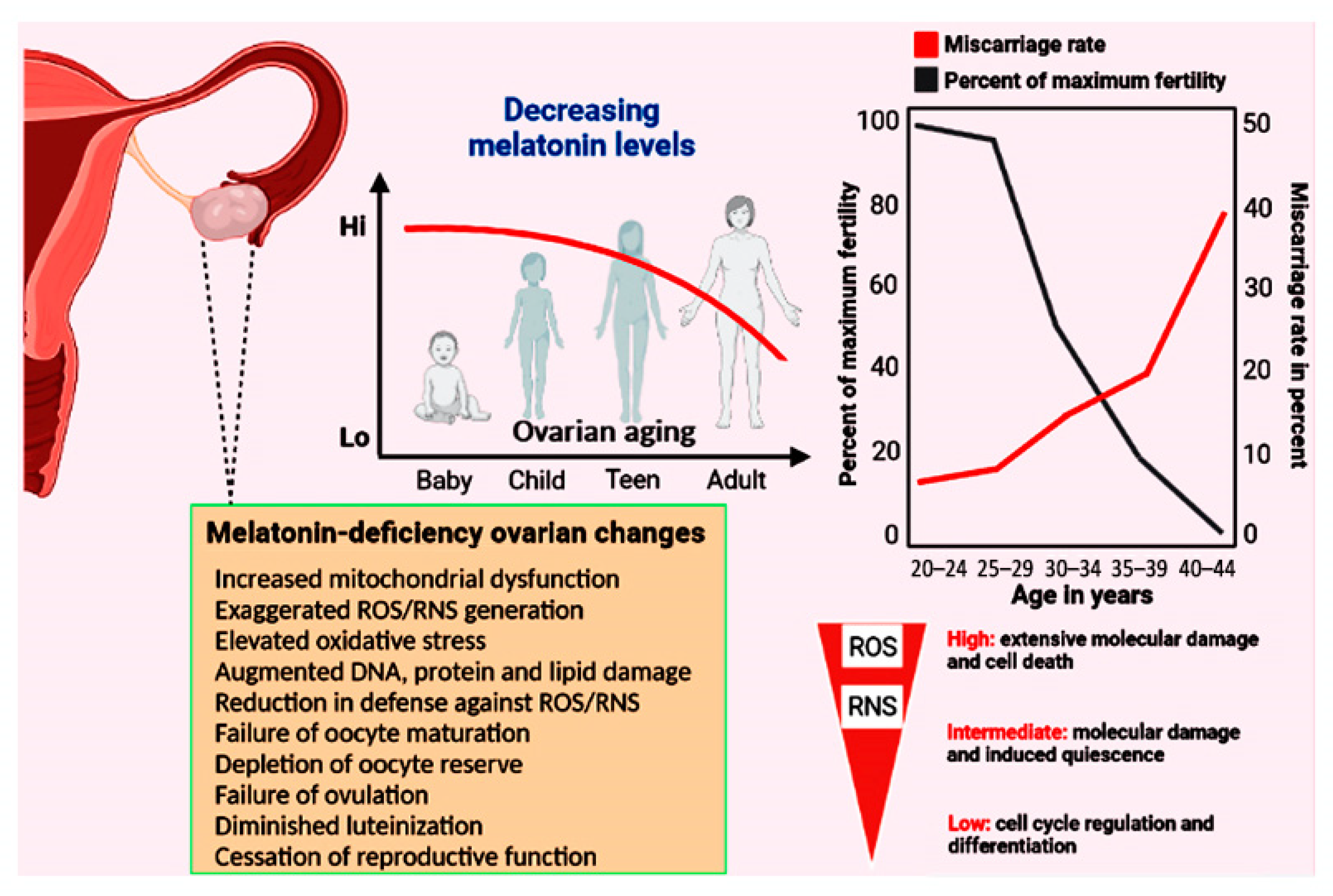 Antioxidants 12 00695 g002