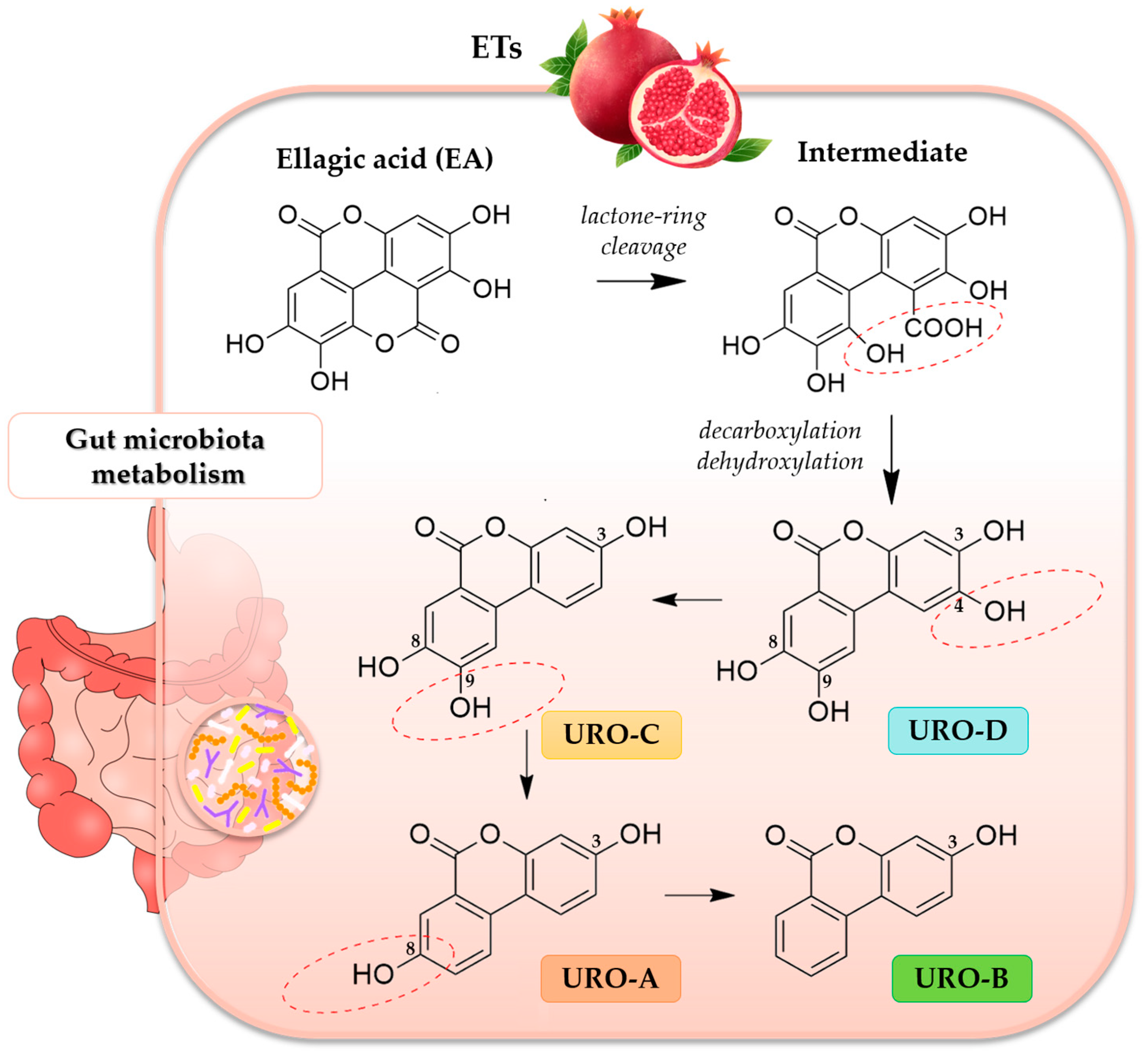 Antioxidants 12 00697 g001