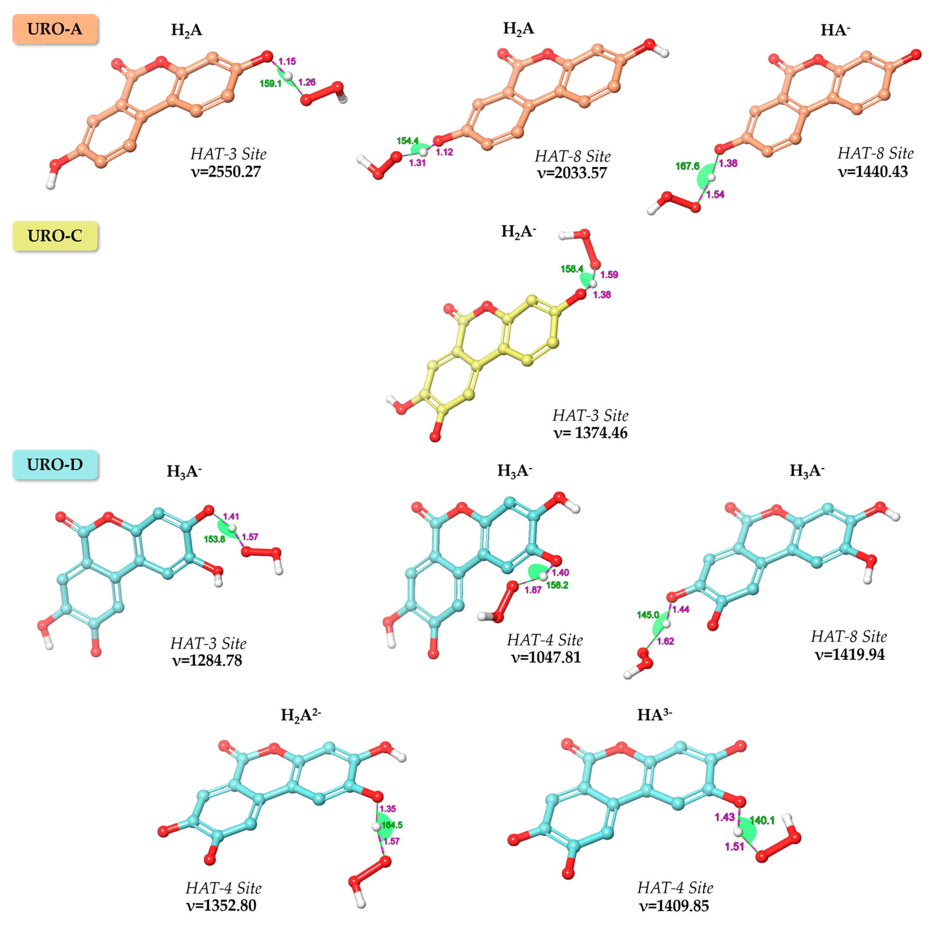 Antioxidants 12 00697 g003