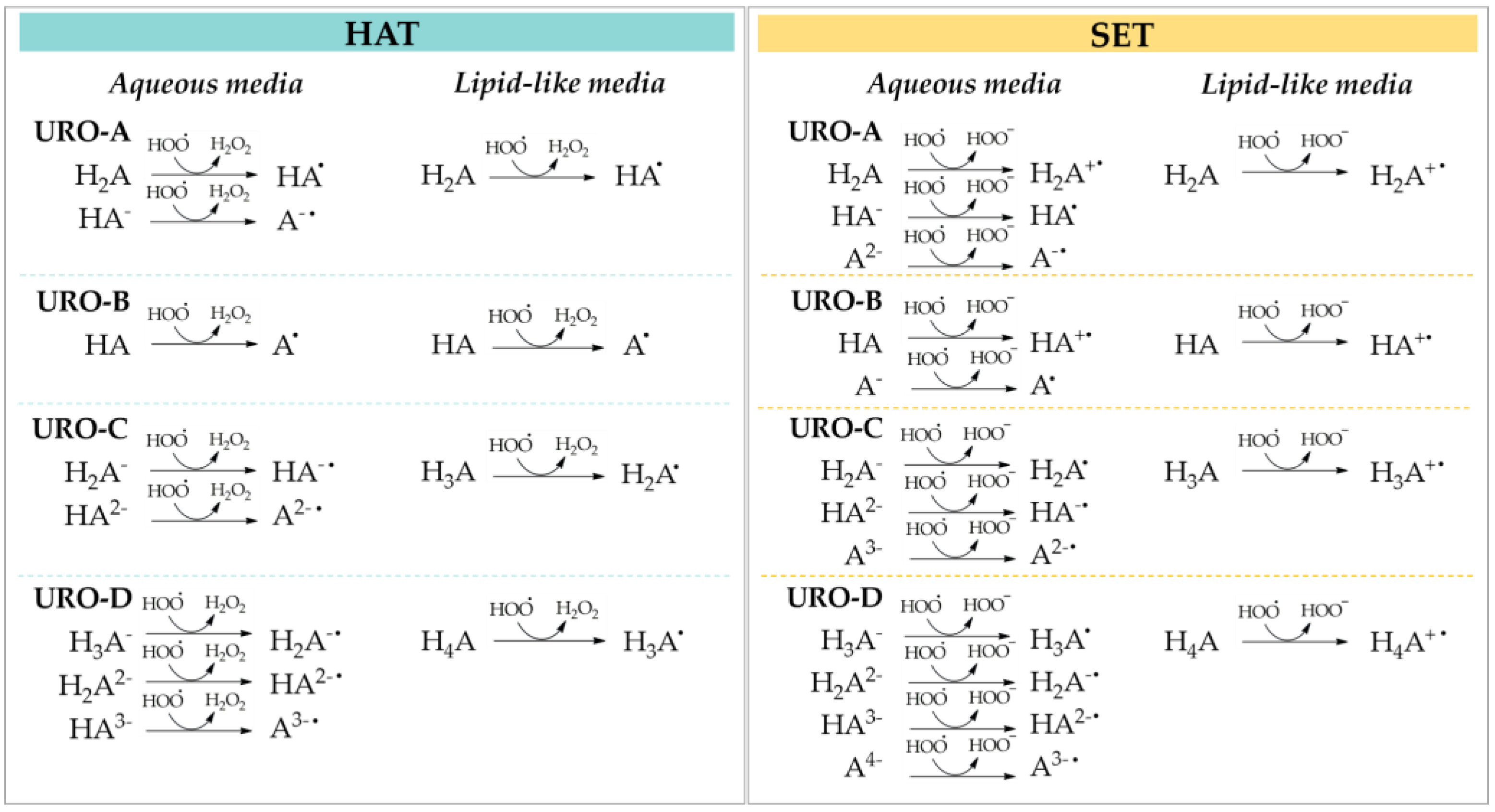 Antioxidants 12 00697 sch001