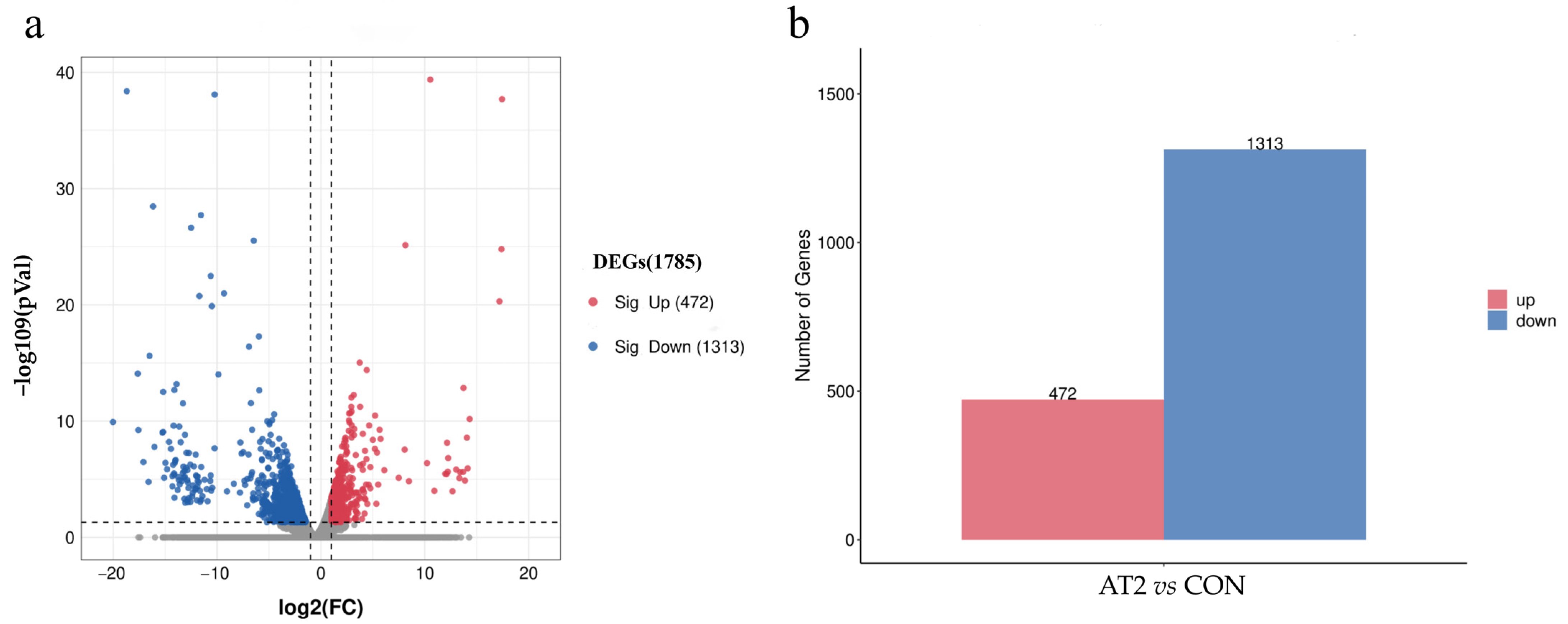 Antioxidants 12 00700 g004