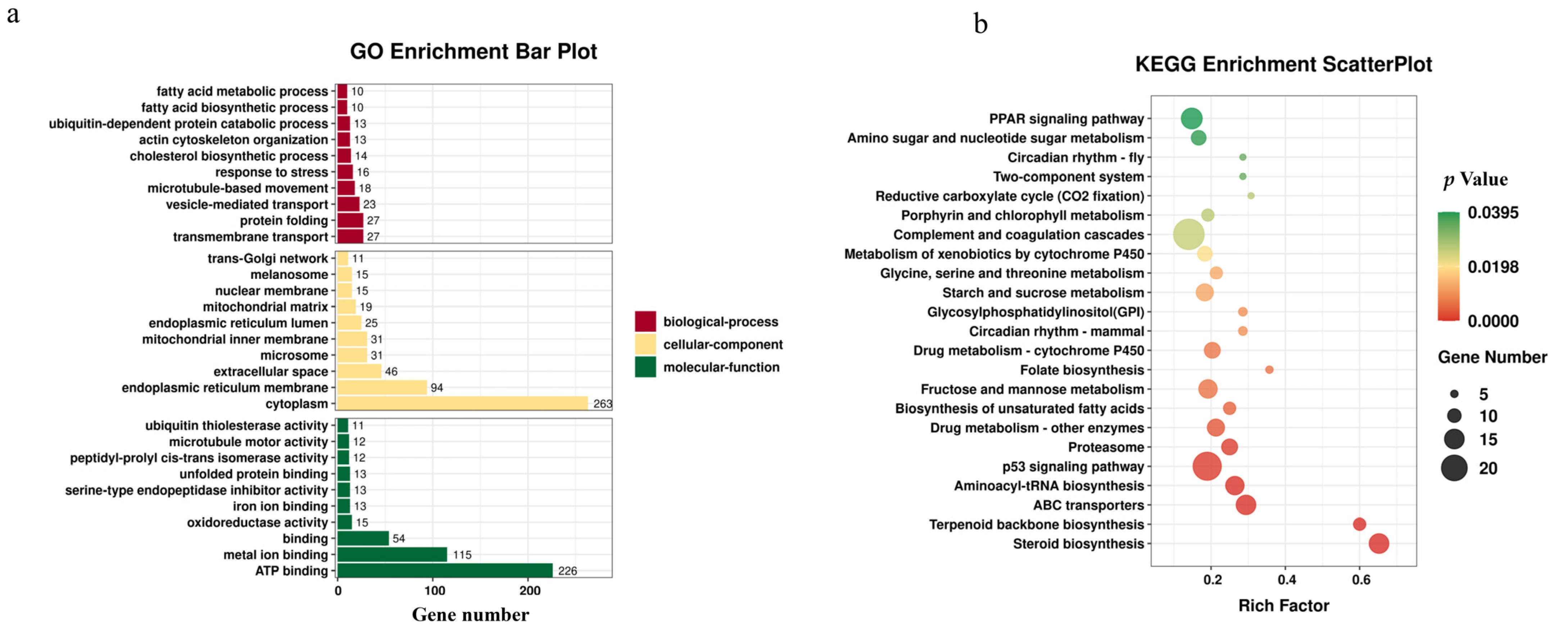 Antioxidants 12 00700 g005
