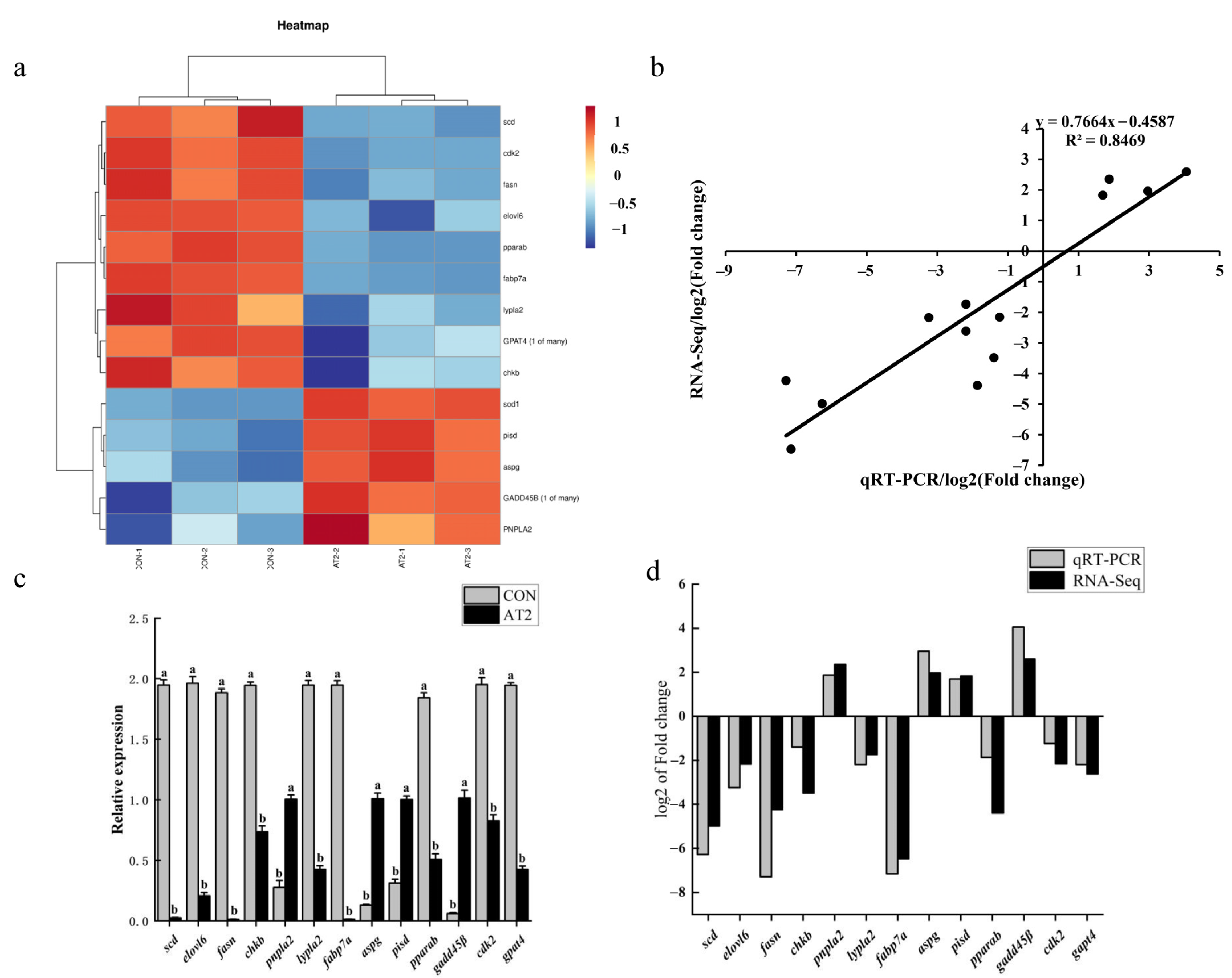 Antioxidants 12 00700 g006