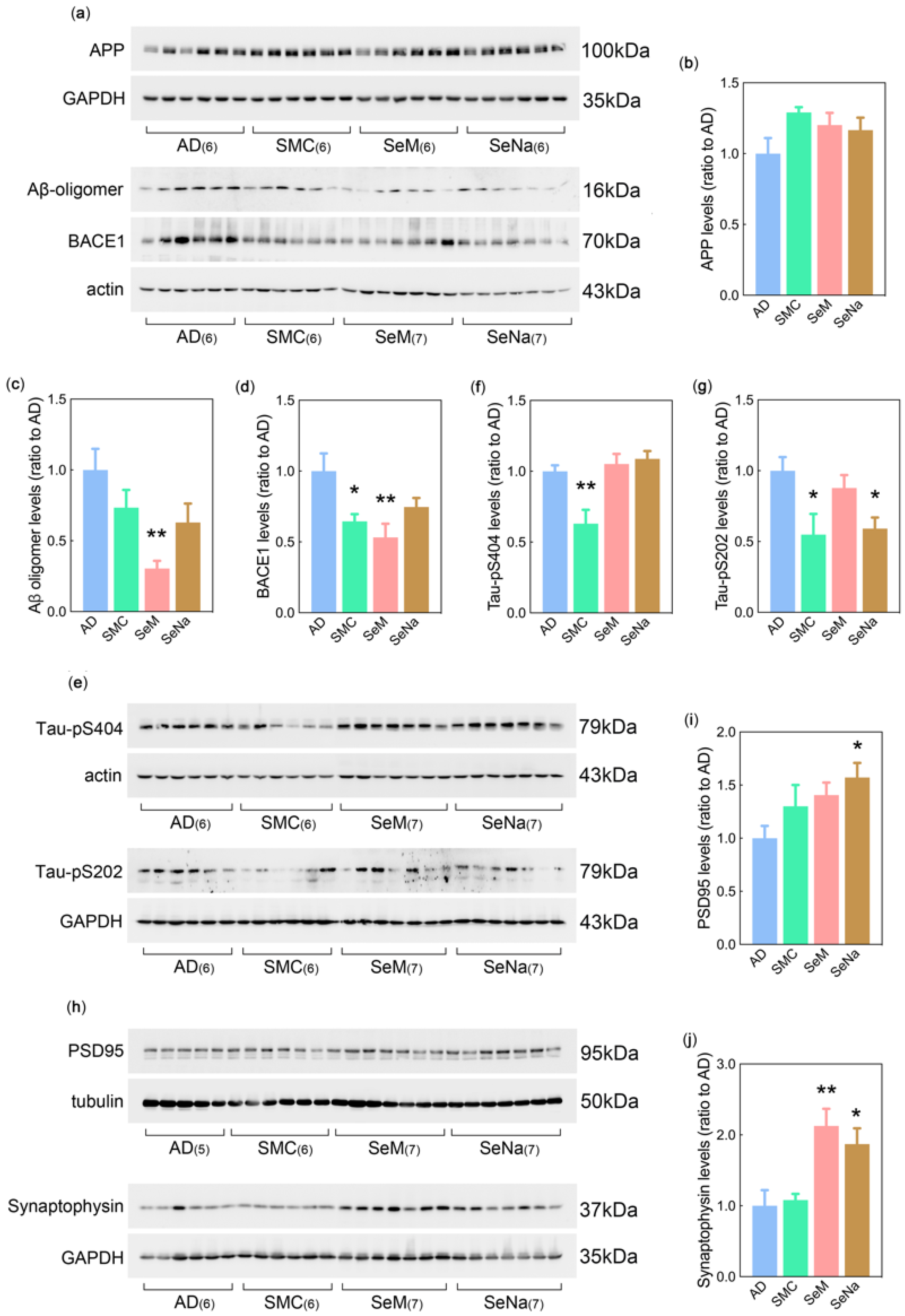 Antioxidants 12 00702 g002