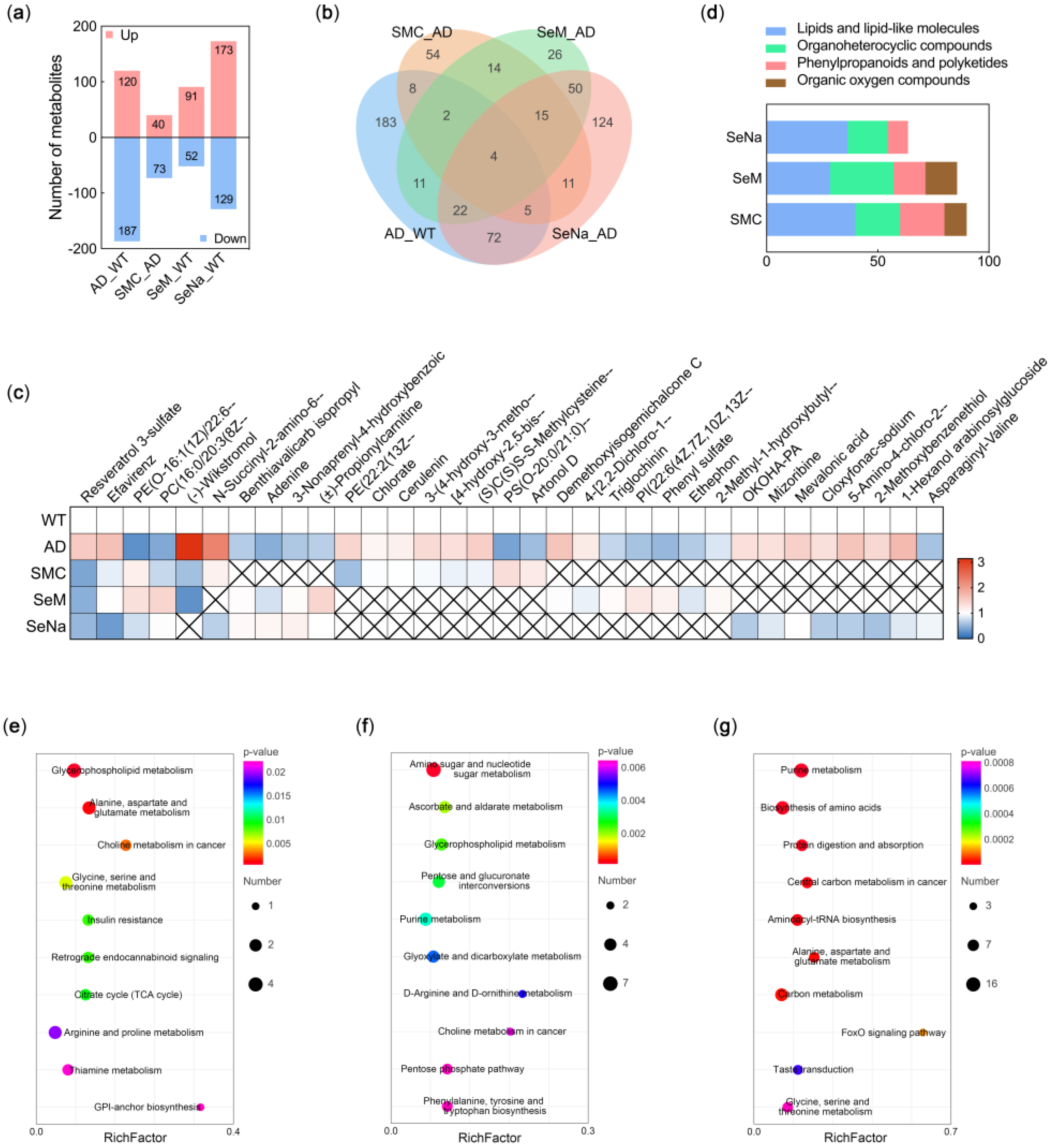 Antioxidants 12 00702 g004
