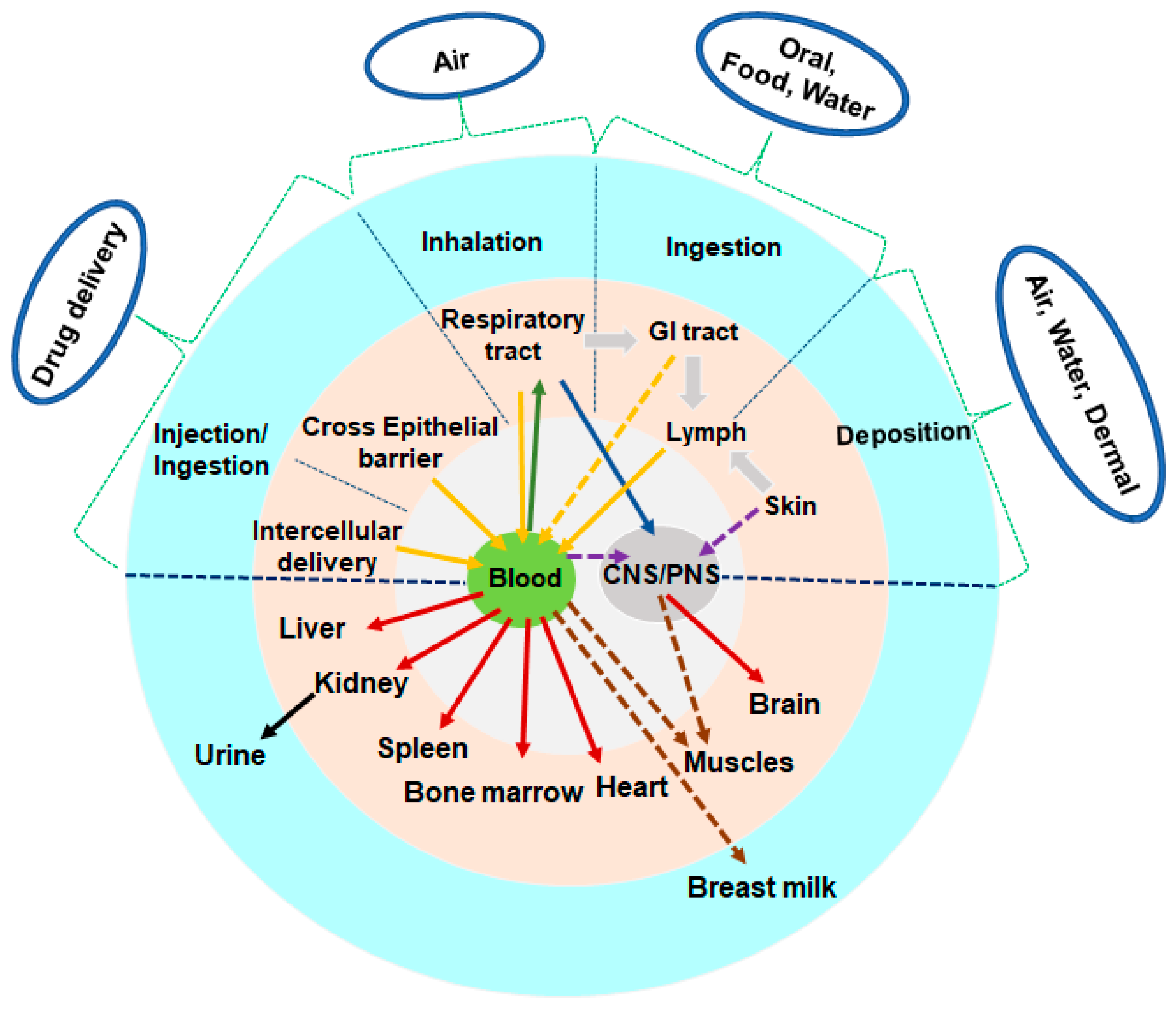 Antioxidants 12 00703 g001