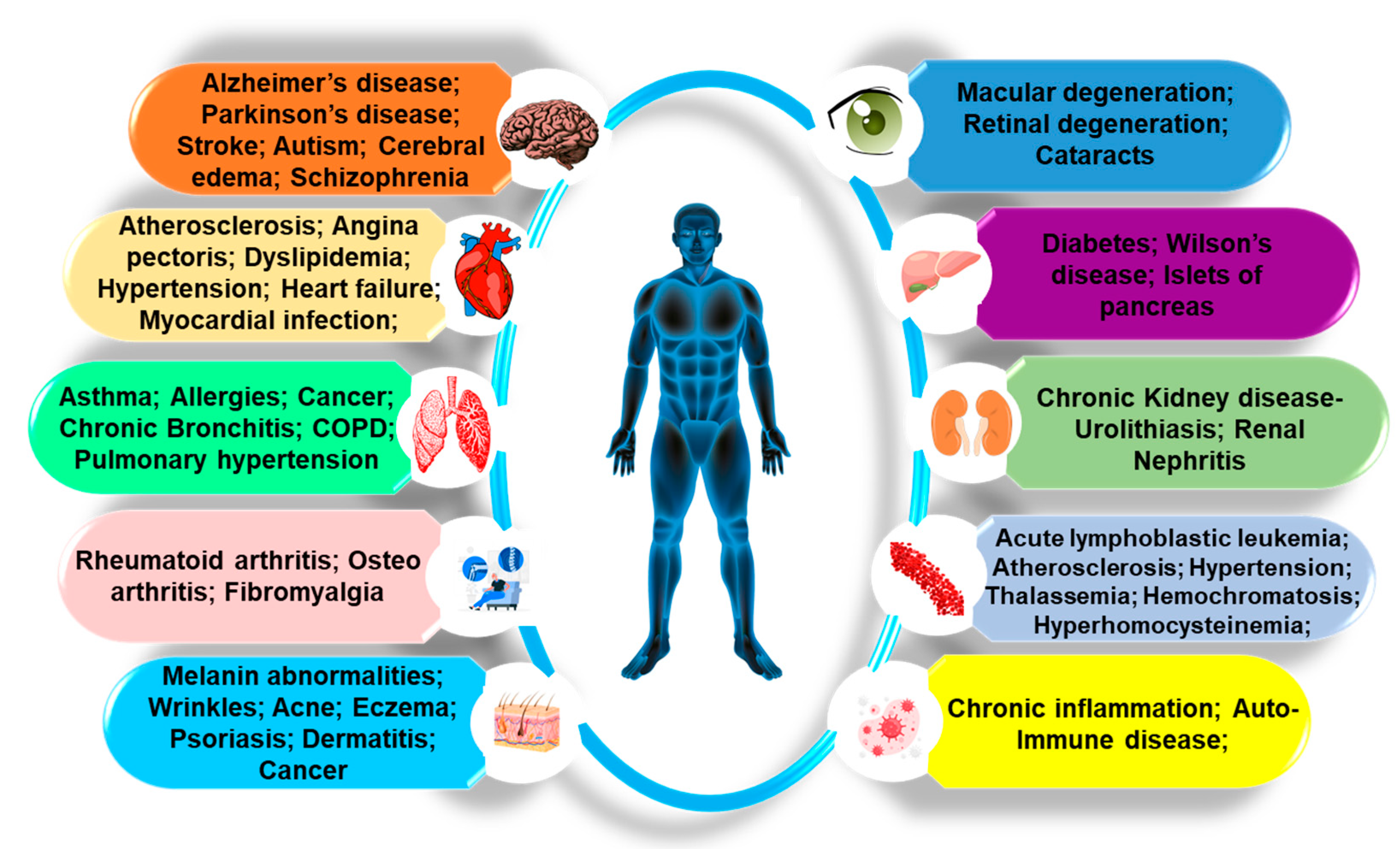 Antioxidants 12 00703 g002